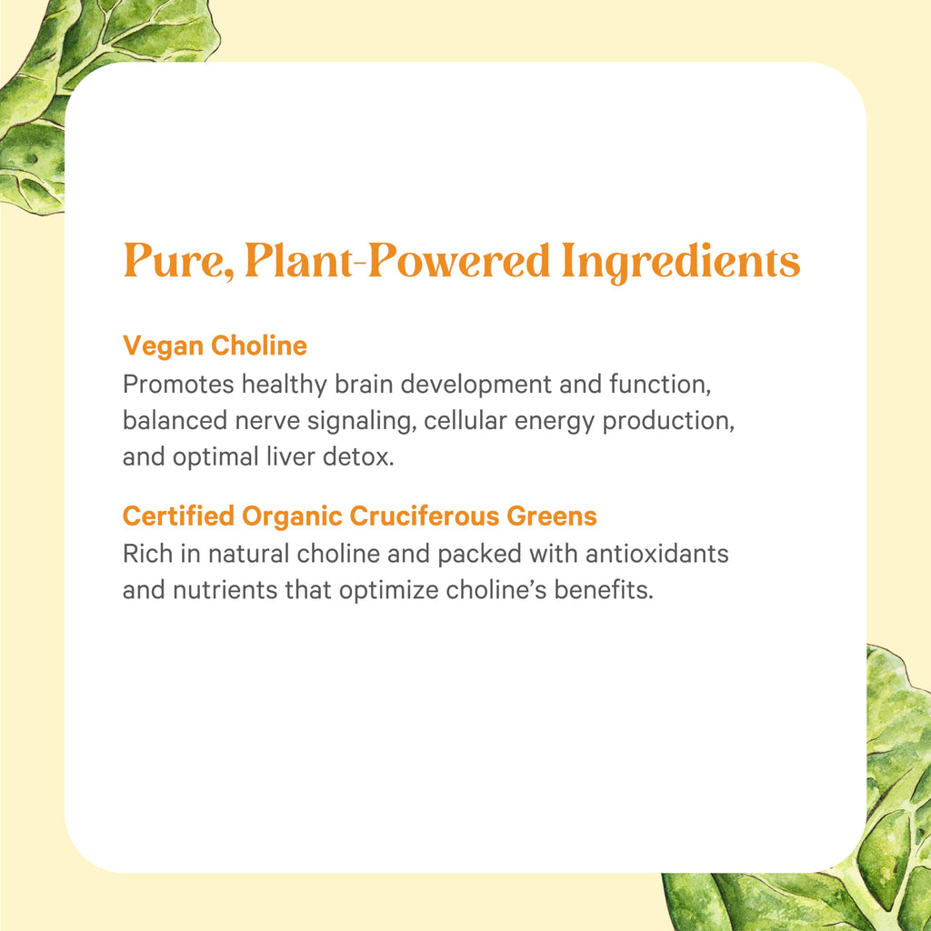 PURE SYNERGY Choline Complex | Vegan Organic Choline Supplement (60 Tablets)