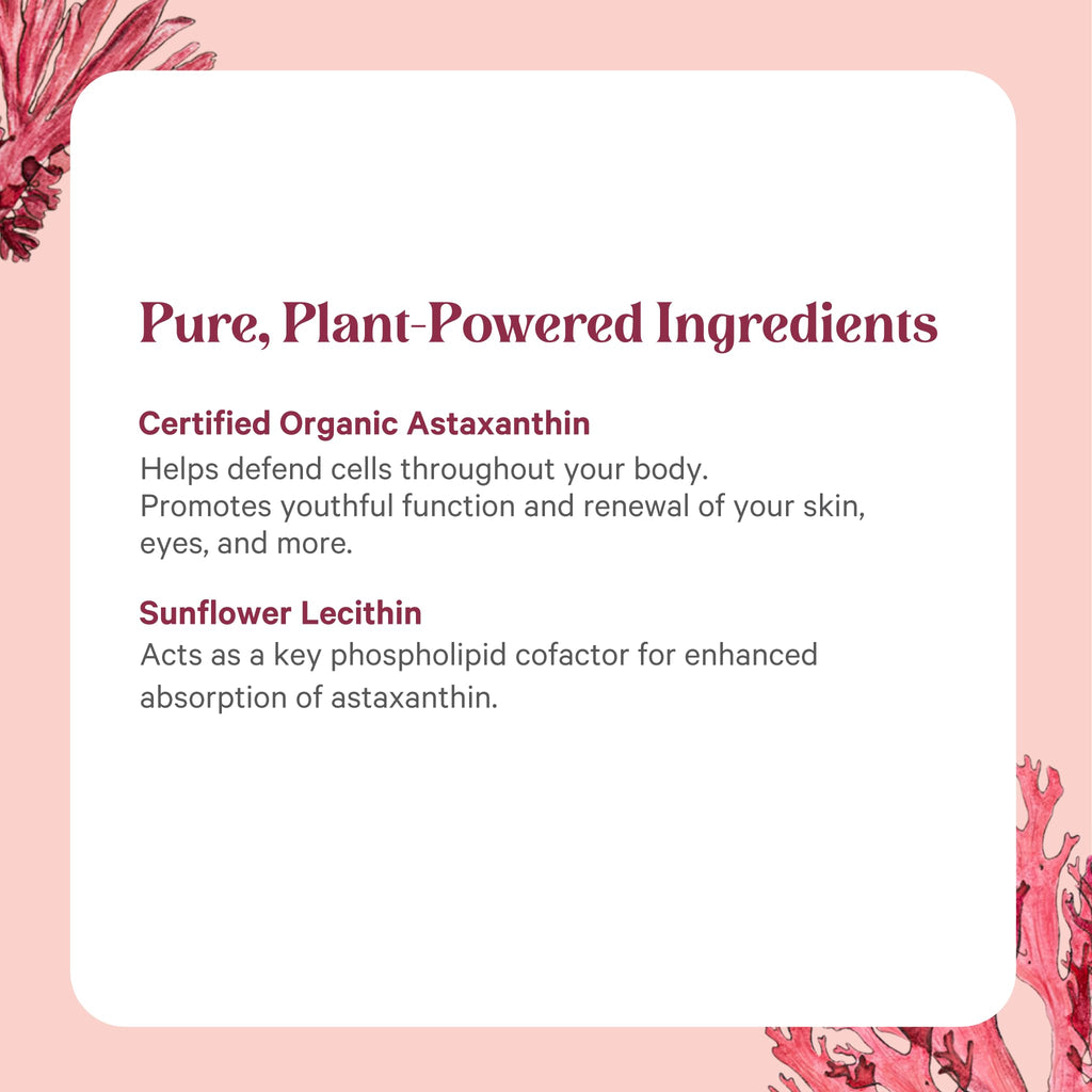 PURE SYNERGY SuperPure Astaxanthin Extract – Organic Algae Astaxanthin