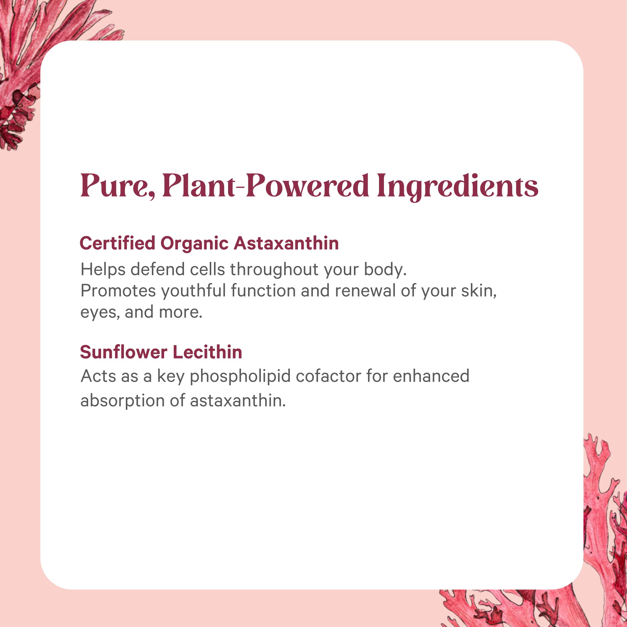 PURE SYNERGY SuperPure Astaxanthin Extract – Organic Algae Astaxanthin