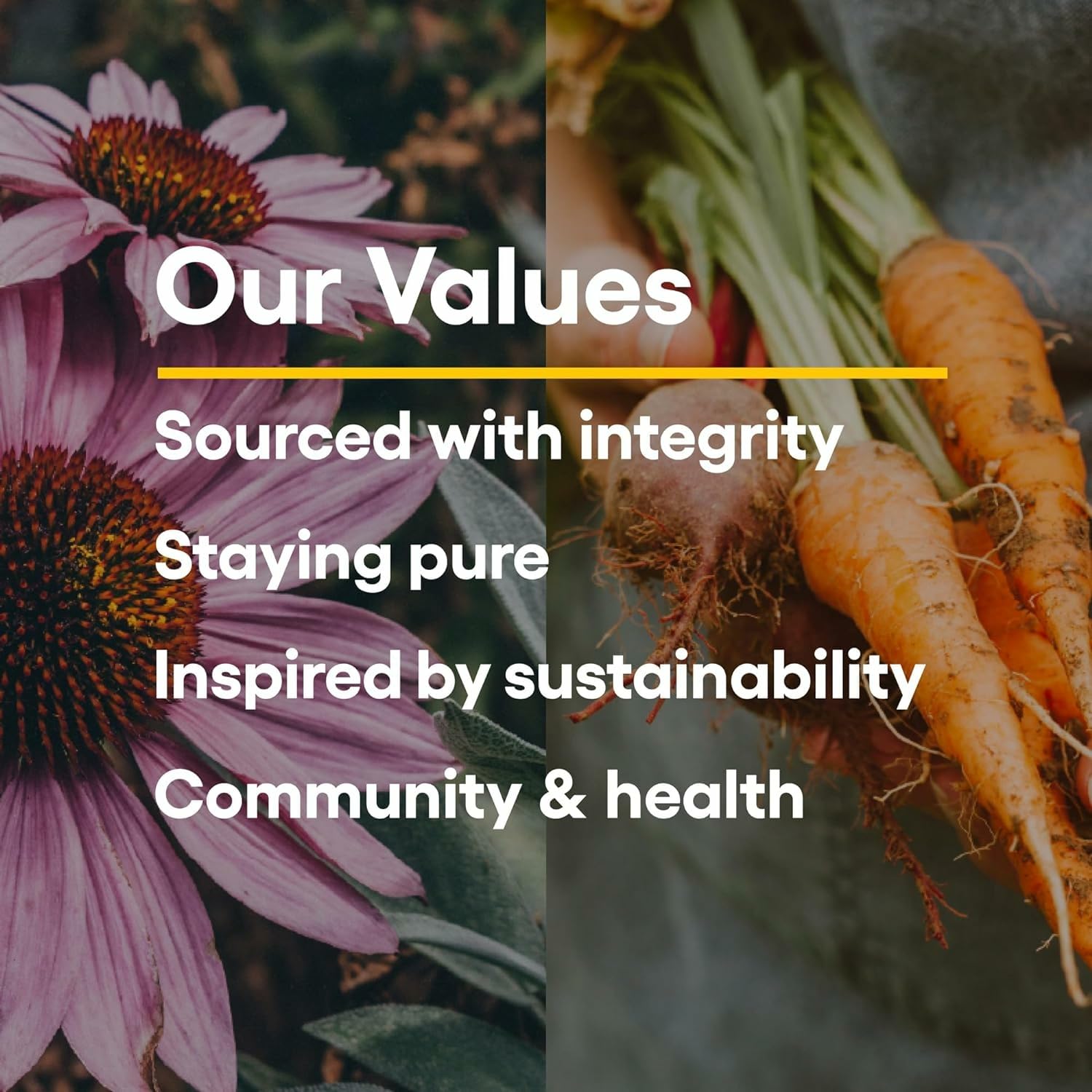 Natural Factors Quercetin Lipomicel Matrix — Immune & Capillary Support