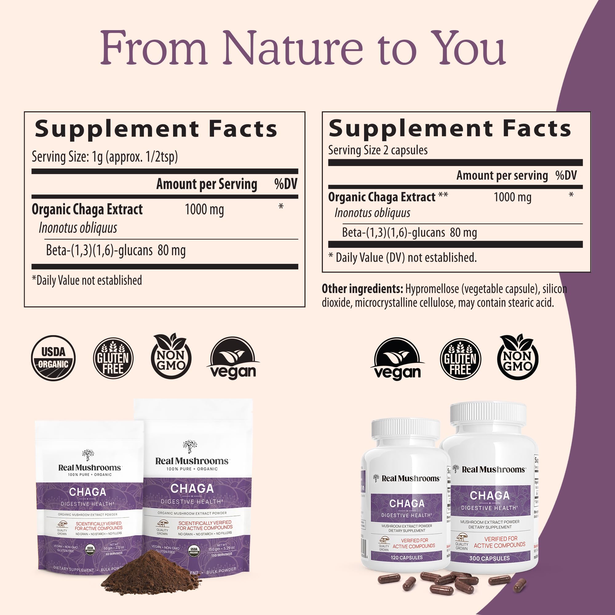 Real Mushrooms Chaga Mushroom Powder – Organic Chaga Extract (60 Servings) – Daily Wellness & Energy