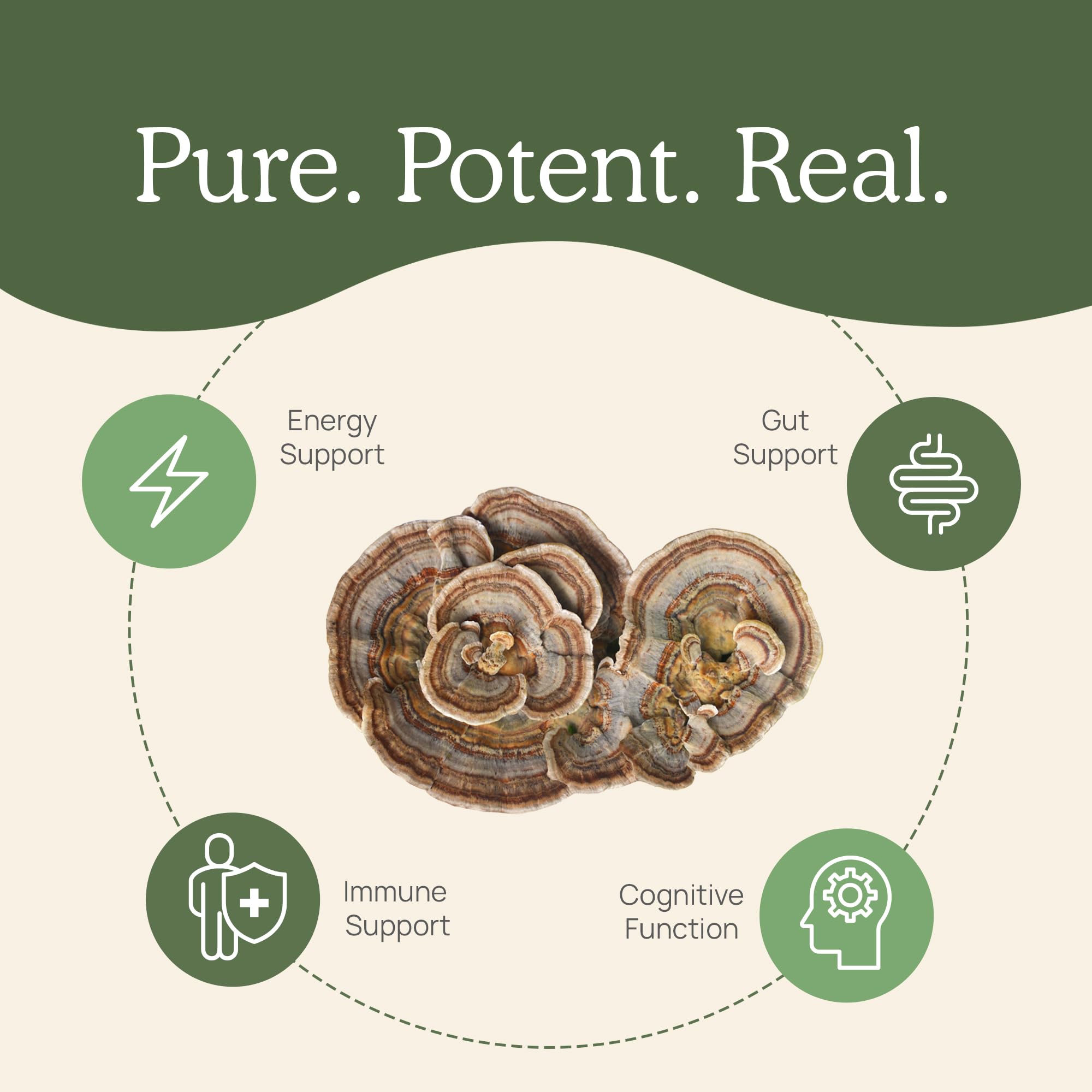 Real Mushrooms Turkey Tail Mushroom Powder – Organic Extract, 100 Servings | Vegan & Non-GMO