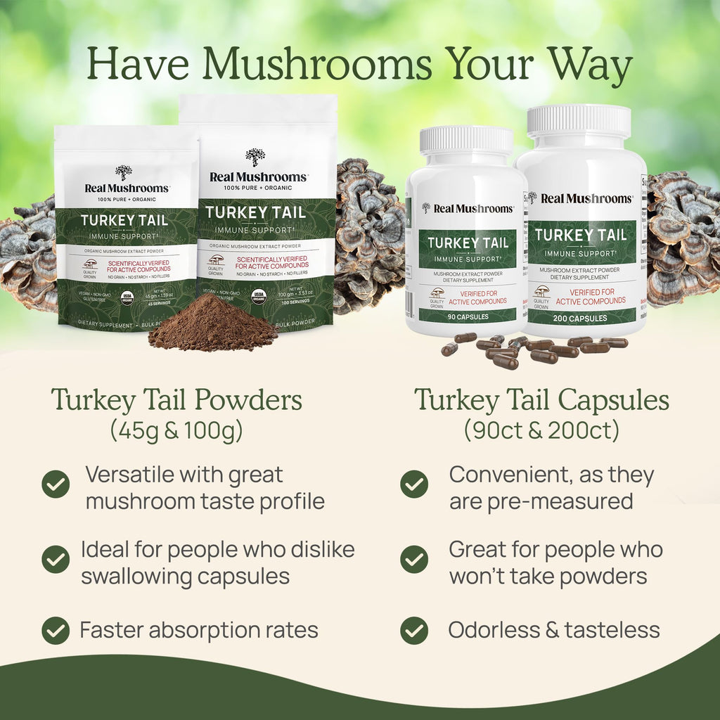 Real Mushrooms Turkey Tail Mushroom Powder – Organic Extract, 100 Servings | Vegan & Non-GMO