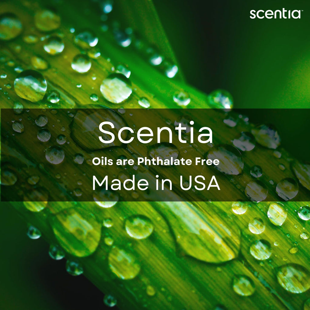 Scentia Thanksgiving Blend Essential Oil 500ml – Holiday Aroma