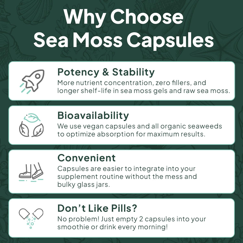 Organics Ocean Wild Sea Moss Capsules – 60 Capsules | Organic Irish Sea Moss, Bladderwrack, Chlorella & Vitamin D3