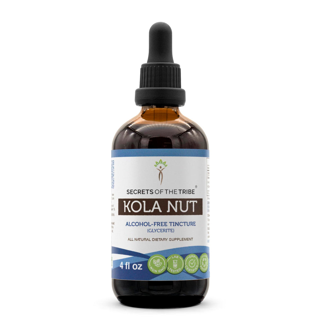 Secrets of the Tribe Kola Nut Tincture Alcohol-Free Extract (4 oz) - Cola Acuminate