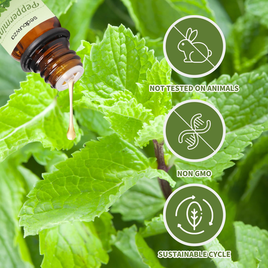 Sedbuwza Lavender & Peppermint Essential Oil Set – 2 x 10ml for Diffuser, Aromatherapy