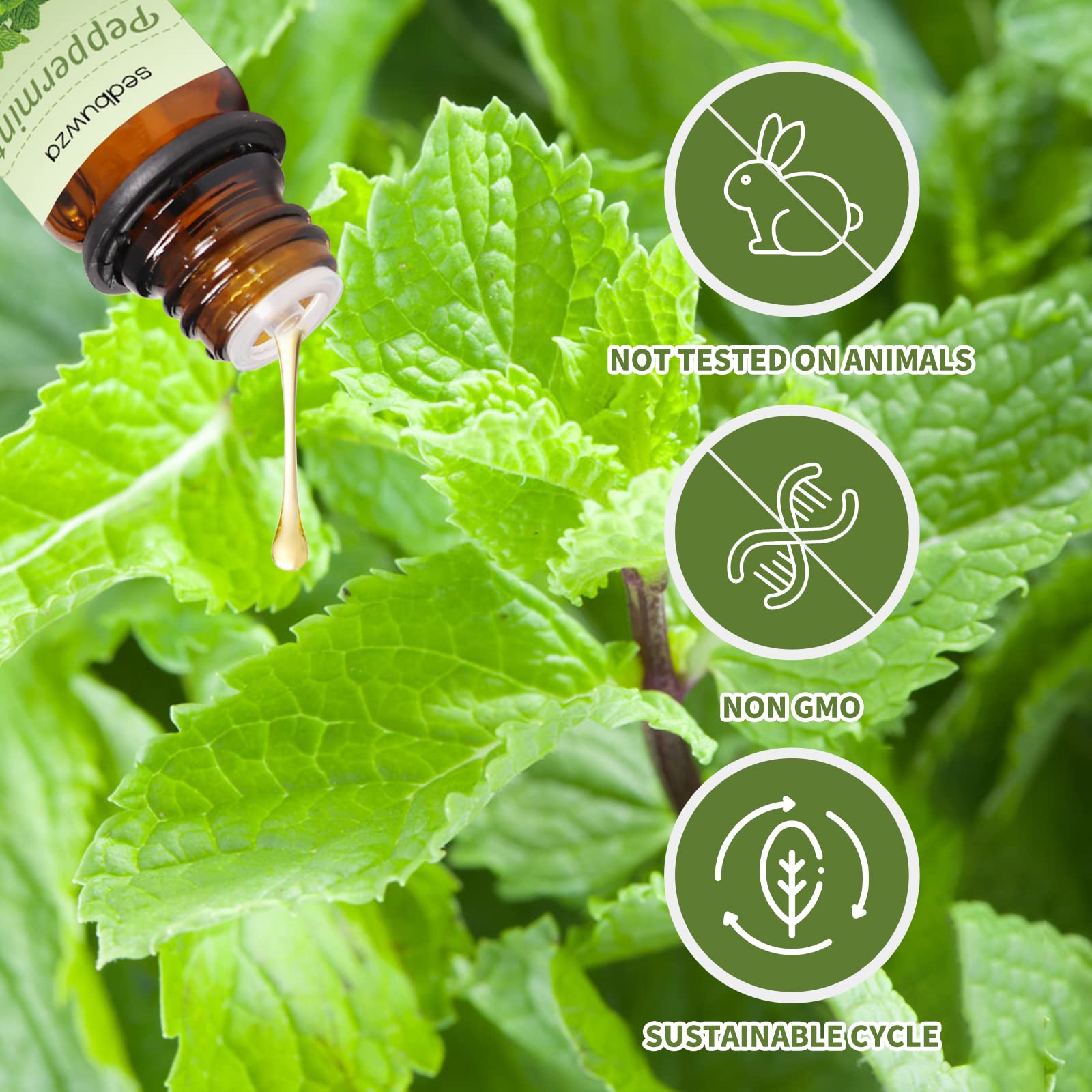 Sedbuwza Peppermint Orange Essential Oil Set - 2 x 10 ml for Diffuser, Aromatherapy