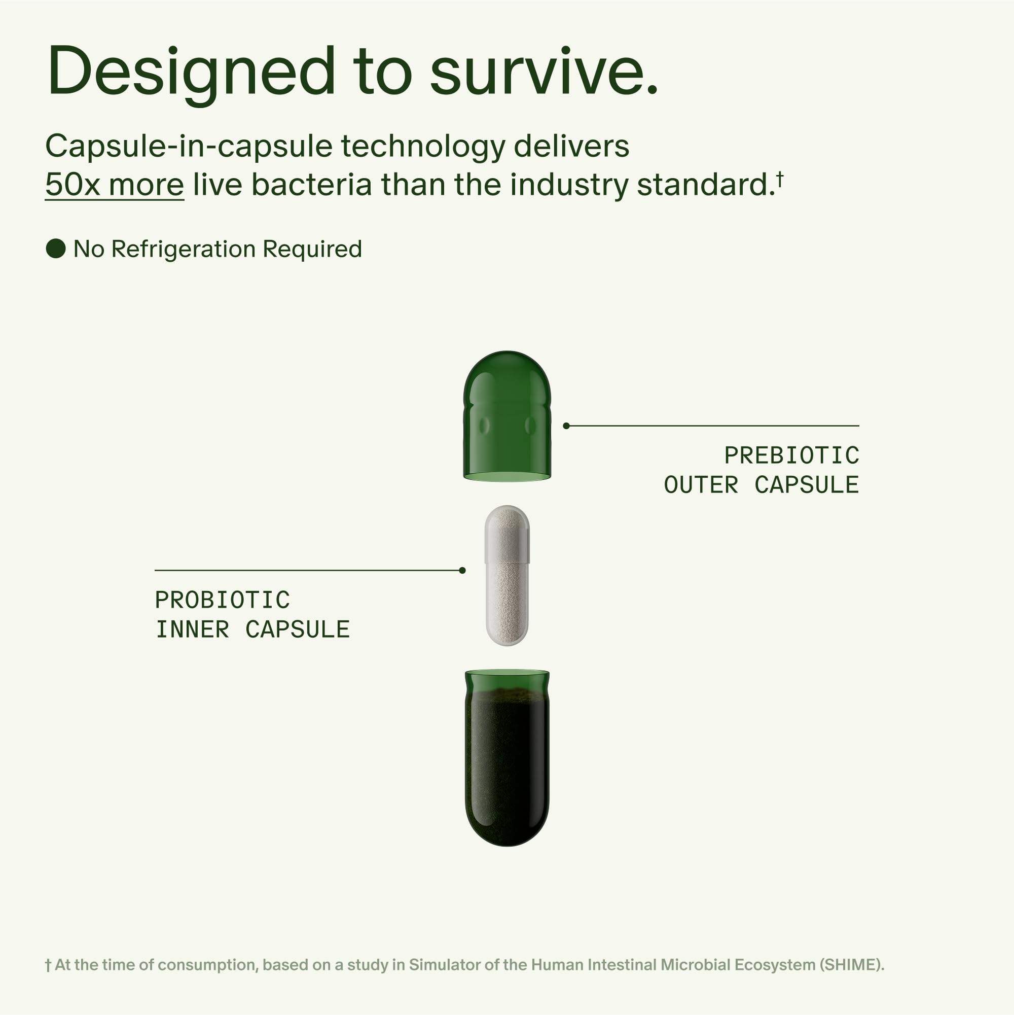 Seed 14 Day Gut Reset | Probiotic & Prebiotic for Digestive Health