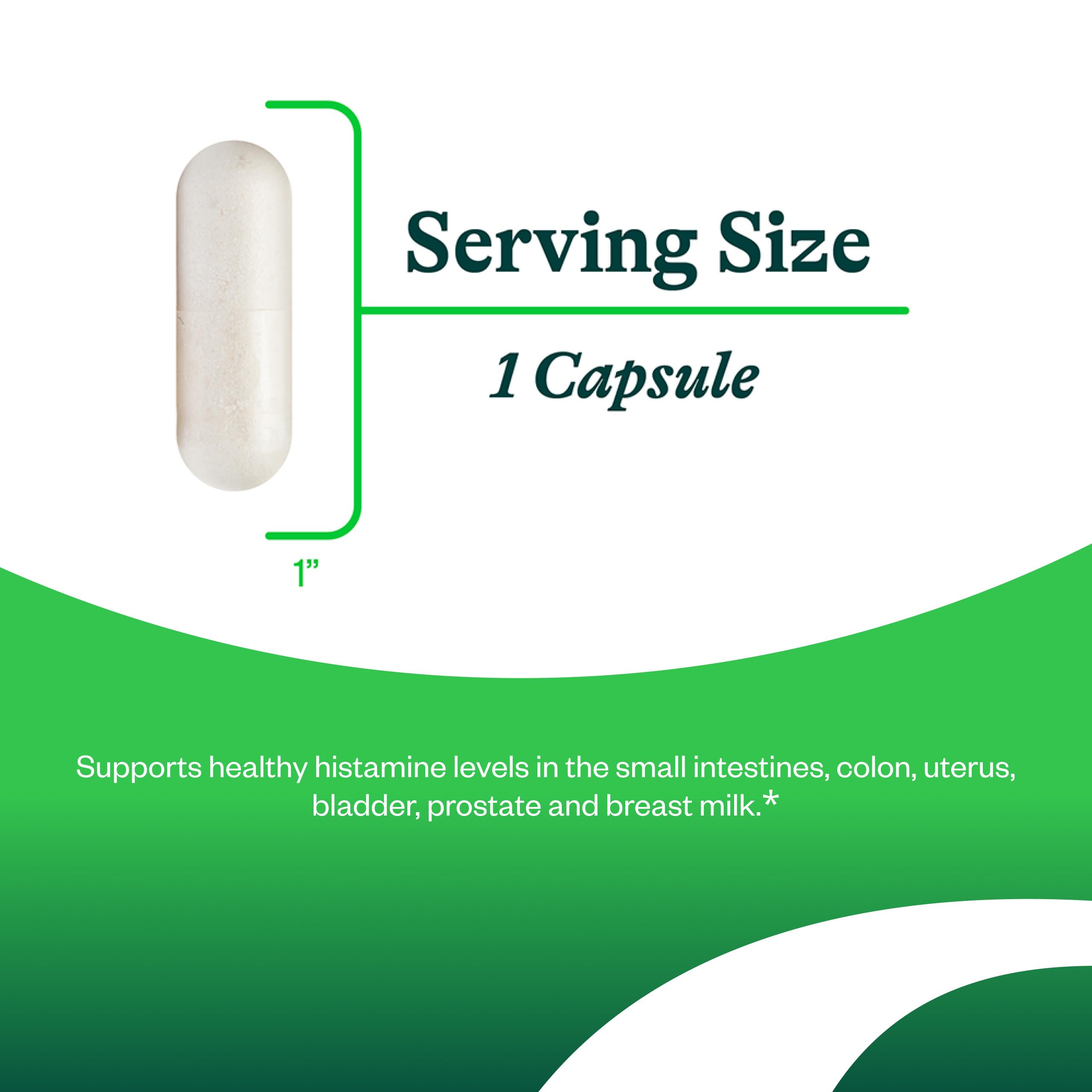Seeking Health DAO Enzyme – Histamine Digest DAO2 Enzyme for Histamine Intolerance | 90 Capsules