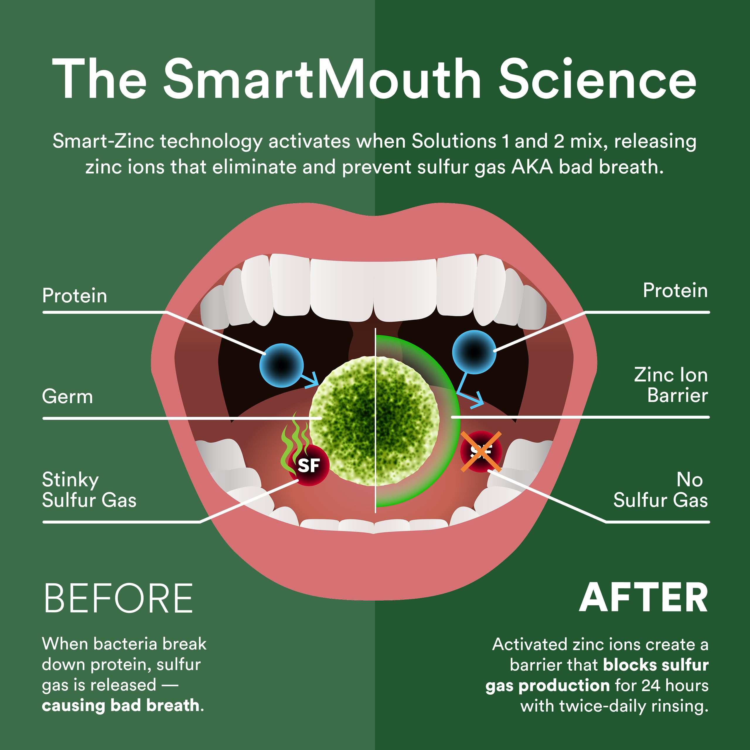SmartMouth Original Activated Mouthwash – 24-Hour Fresh Breath, Mint, 2-Pack (16 oz)