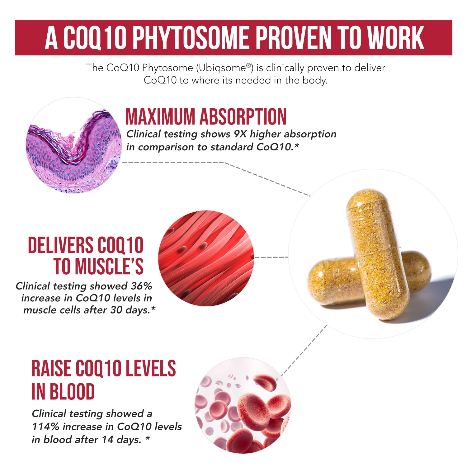 SoActive CoQ10 250 mg Phytosome – 9x Higher Absorption, Cellular Delivery (60 Capsules)