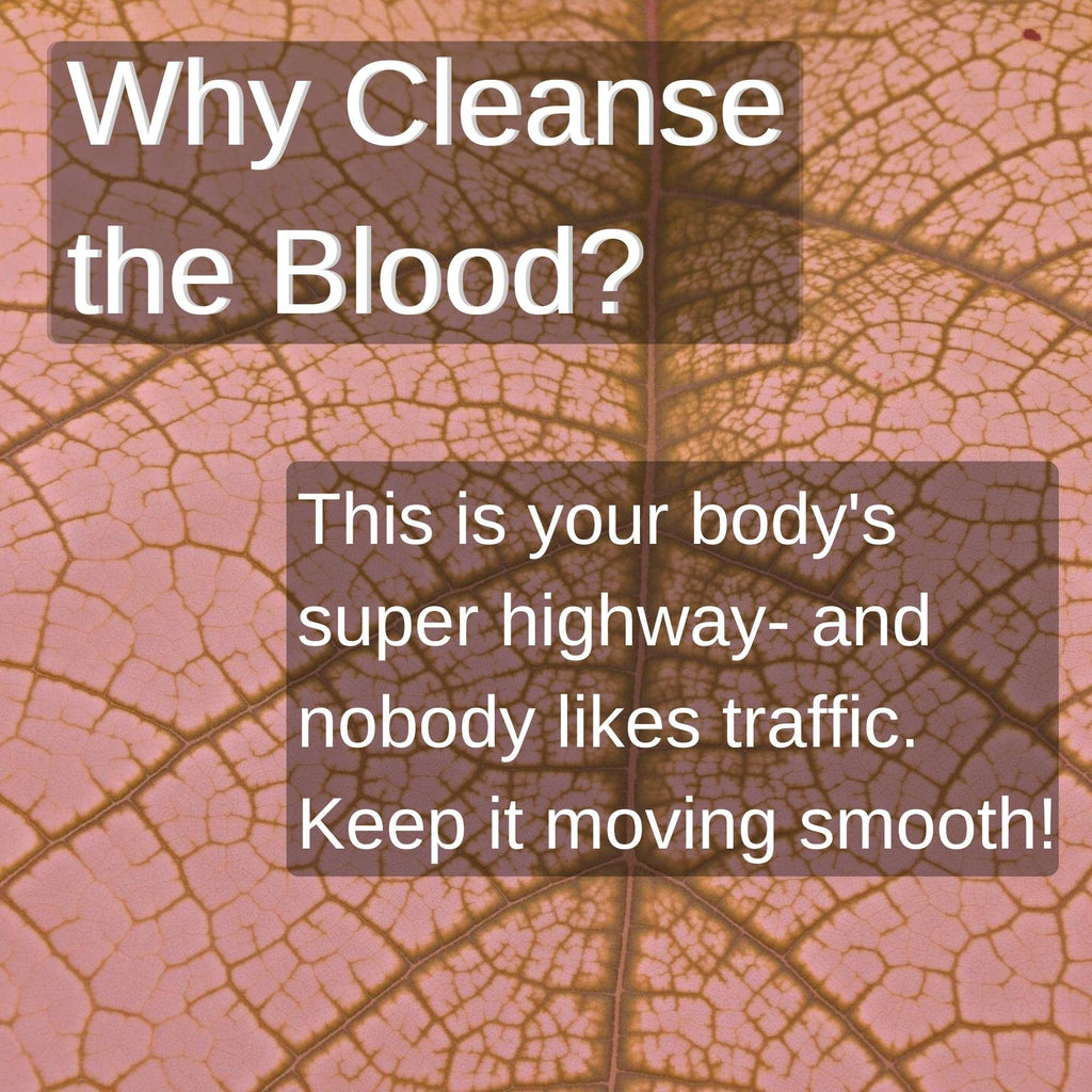 SpeedyVite® Blood Lifeboost Tea – Cleanses & Supports Natural Waste Removal*