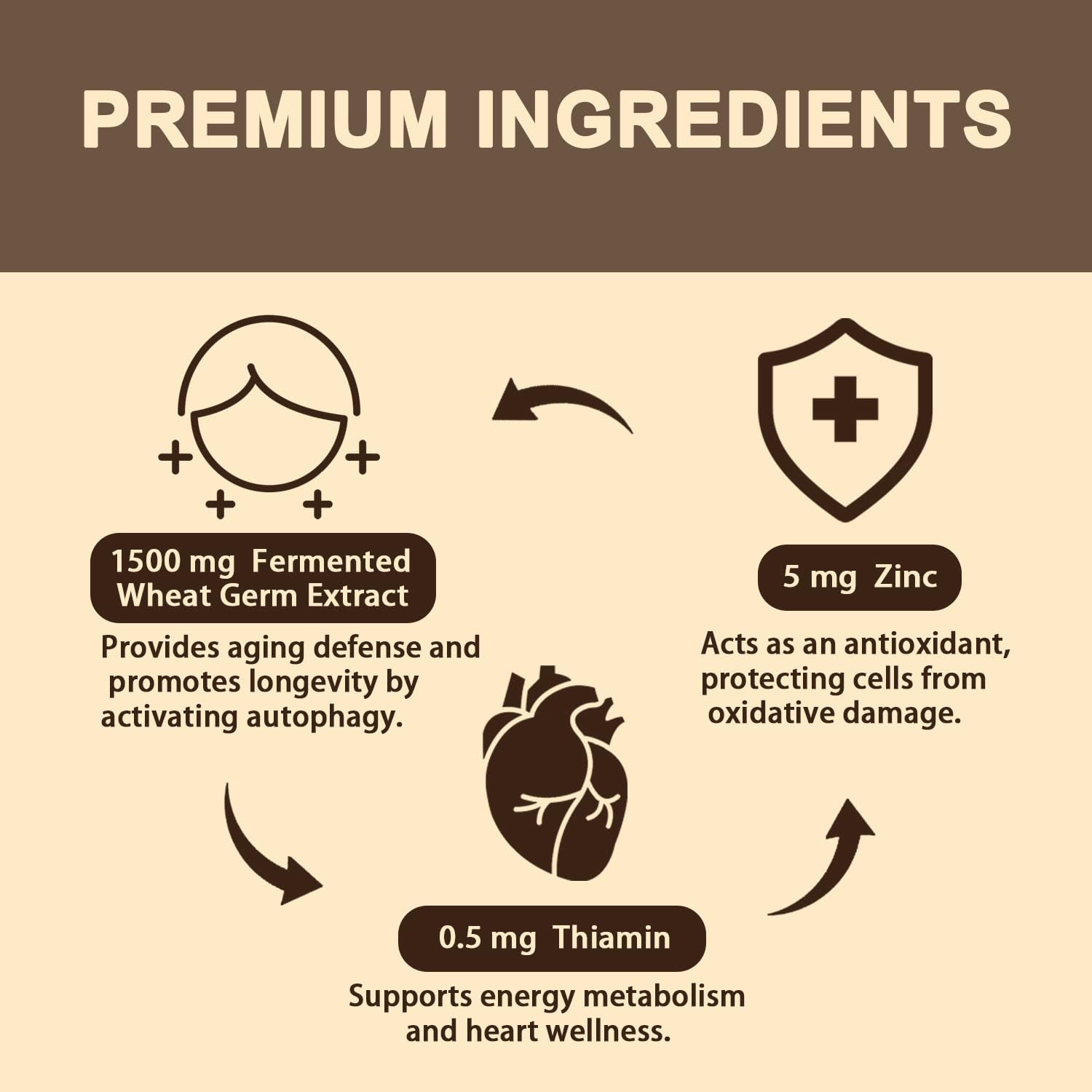 Spermidine Supplement 15 MG - 99% Purity, High Absorption, 1500 MG Fermented Wheat Germ Extract with Zinc & Thiamin, Spermidine for Men & Women - Cellular Renewal, Aging Defense, Energy, 120 Softgels