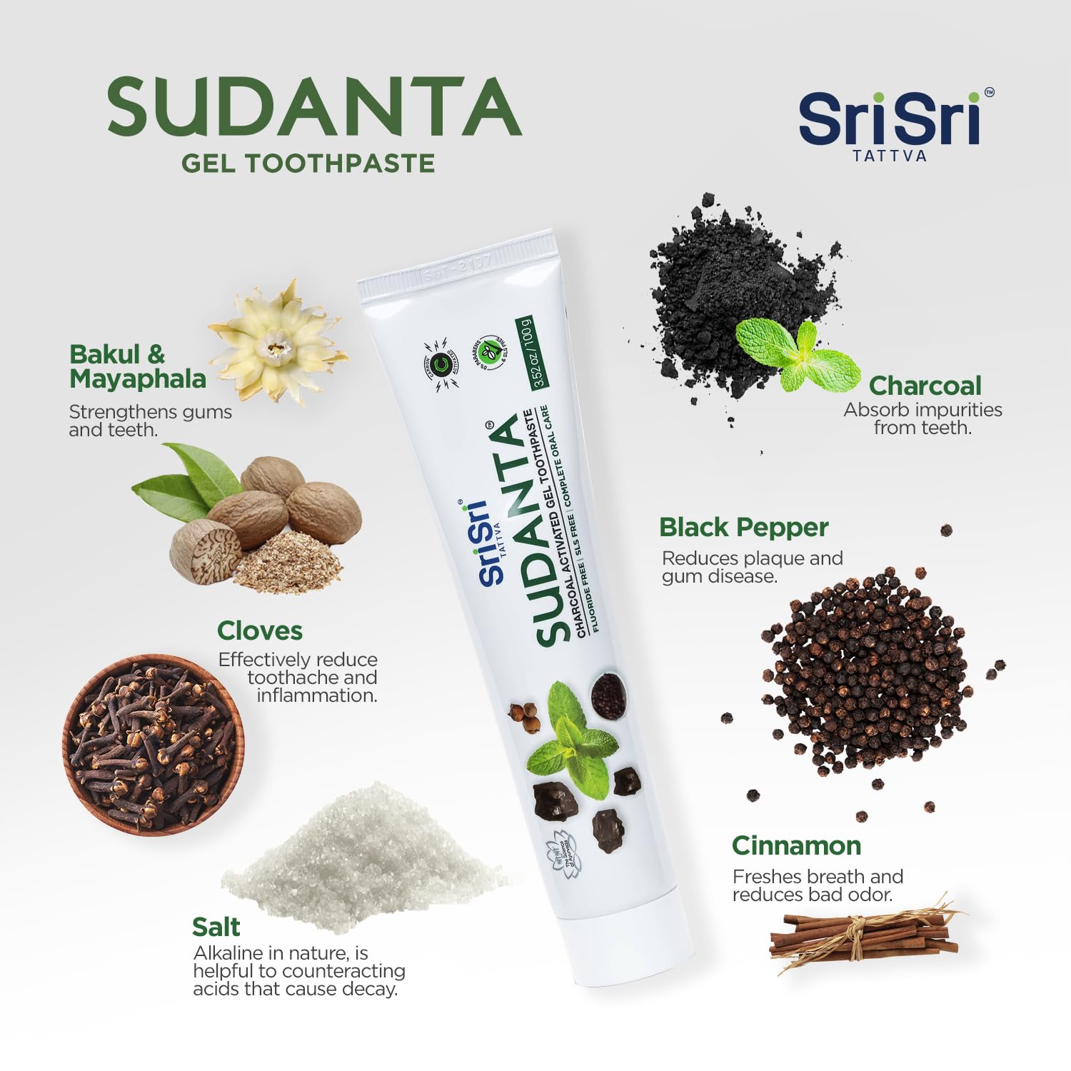 Sri Sri Tattva Sudanta Charcoal Toothpaste Gel – SLS & Fluoride Free Herbal Toothpaste (100g Tube, Pack of 3)