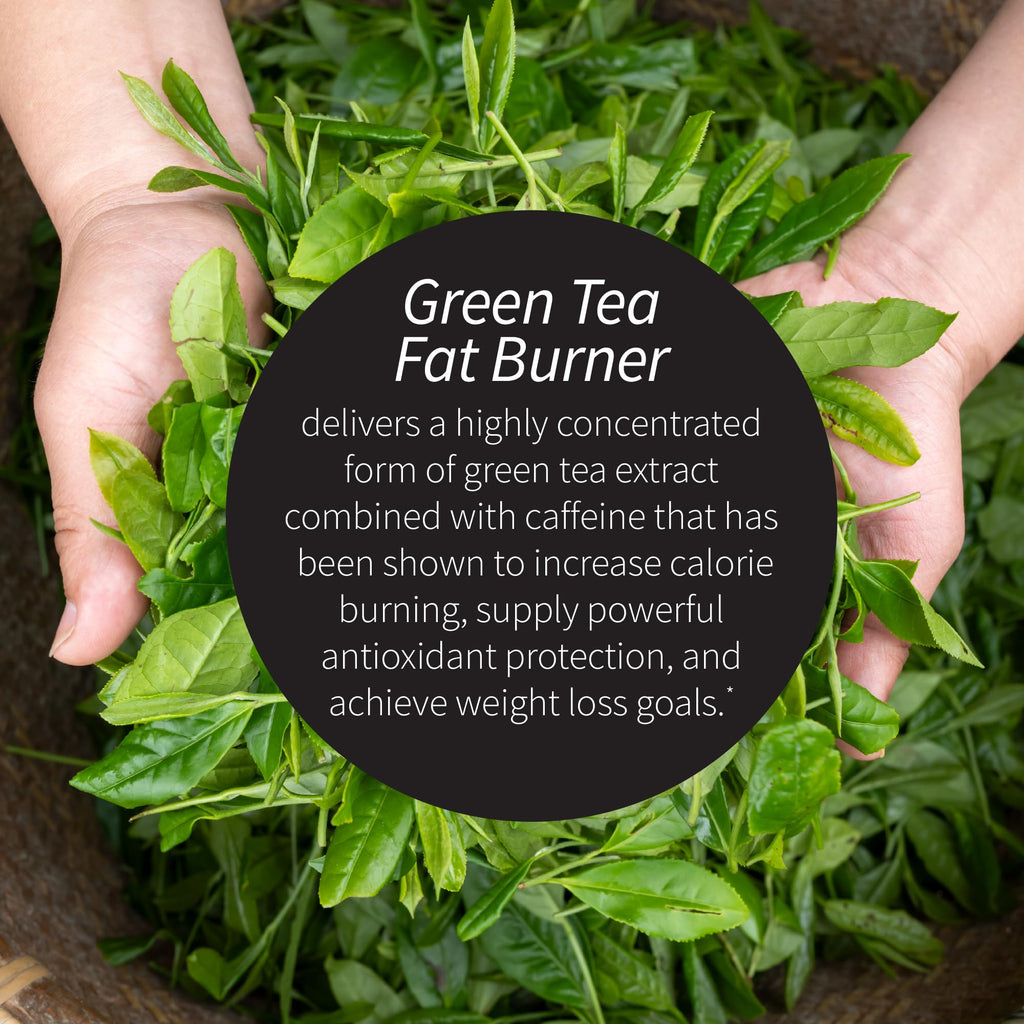 Applied Nutrition Green Tea Fat Burner – EGCG 400 mg + Green Coffee Bean Extract