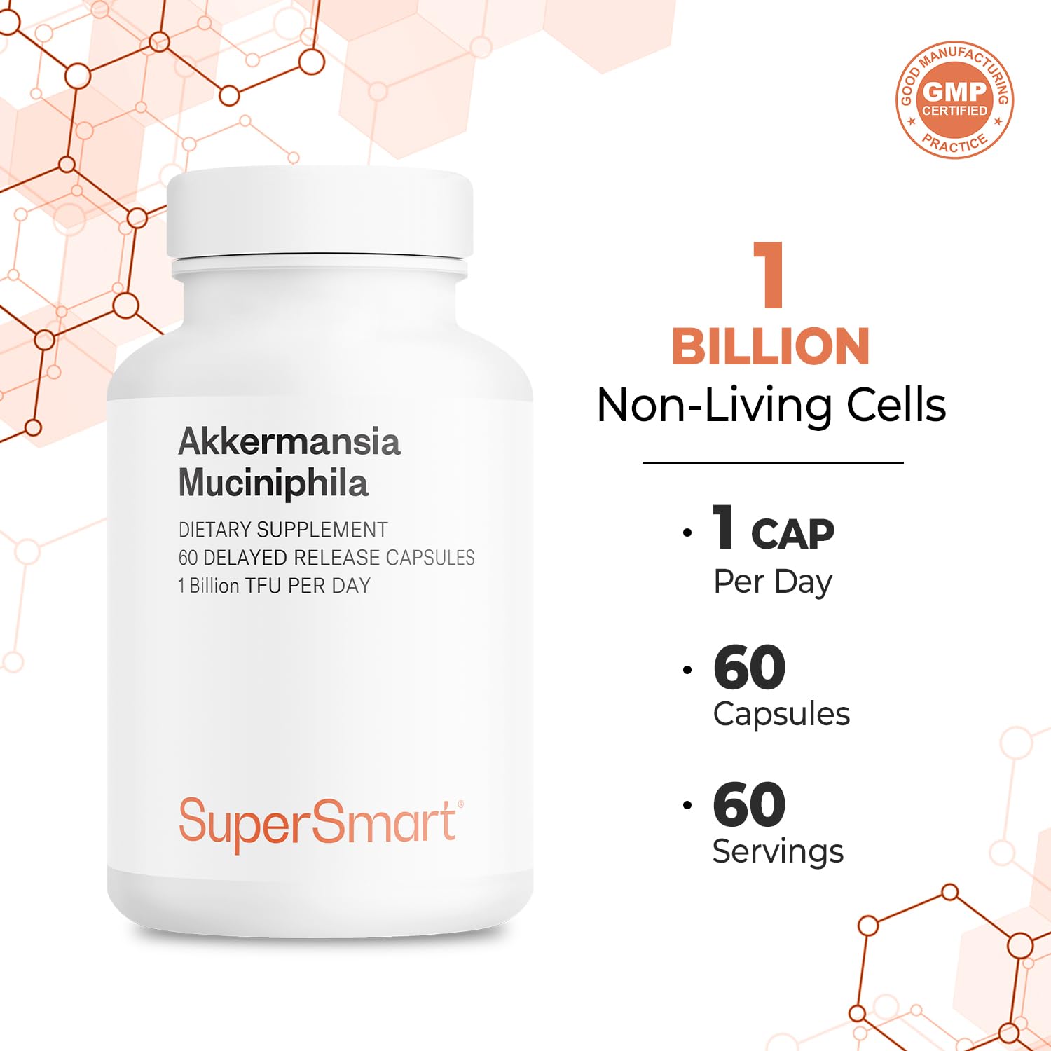 Supersmart Akkermansia Muciniphila 1B TFU per Day - Postbiotic Pasteurized Probiotic, 60 Capsules
