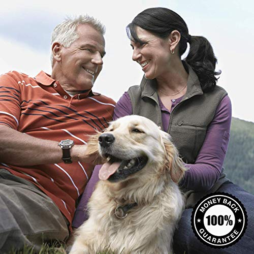 Swanson Butterbur Extract - Standardized 75 mg, 60 Caps | PA-Free