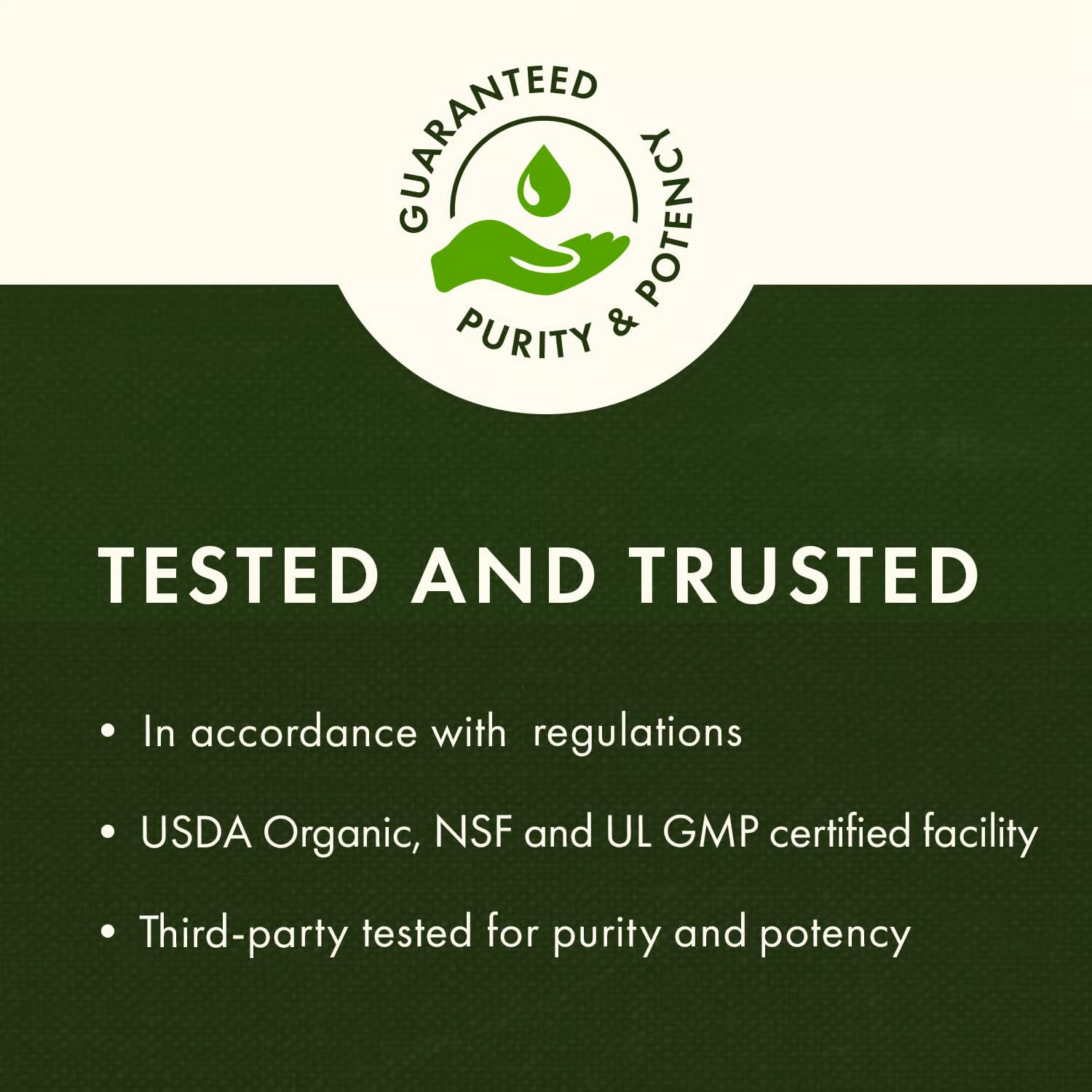 Stinging Nettle Root 500mg Capsules - Swanson (100 Caps) 4 Pack