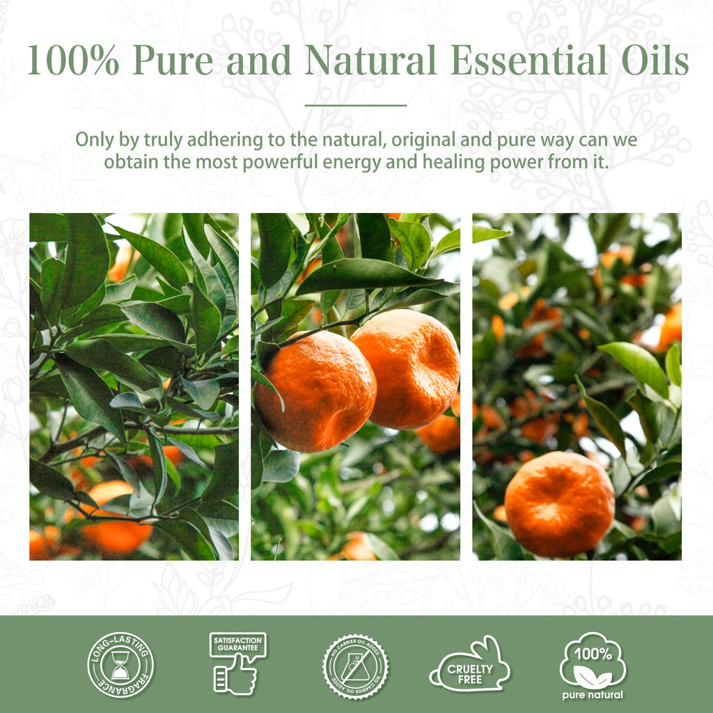Tangerine Essential Oil 30ml – PHATOIL Pure Aromatherapy for Diffusers, DIY Soap, Candle, Bath Bombs
