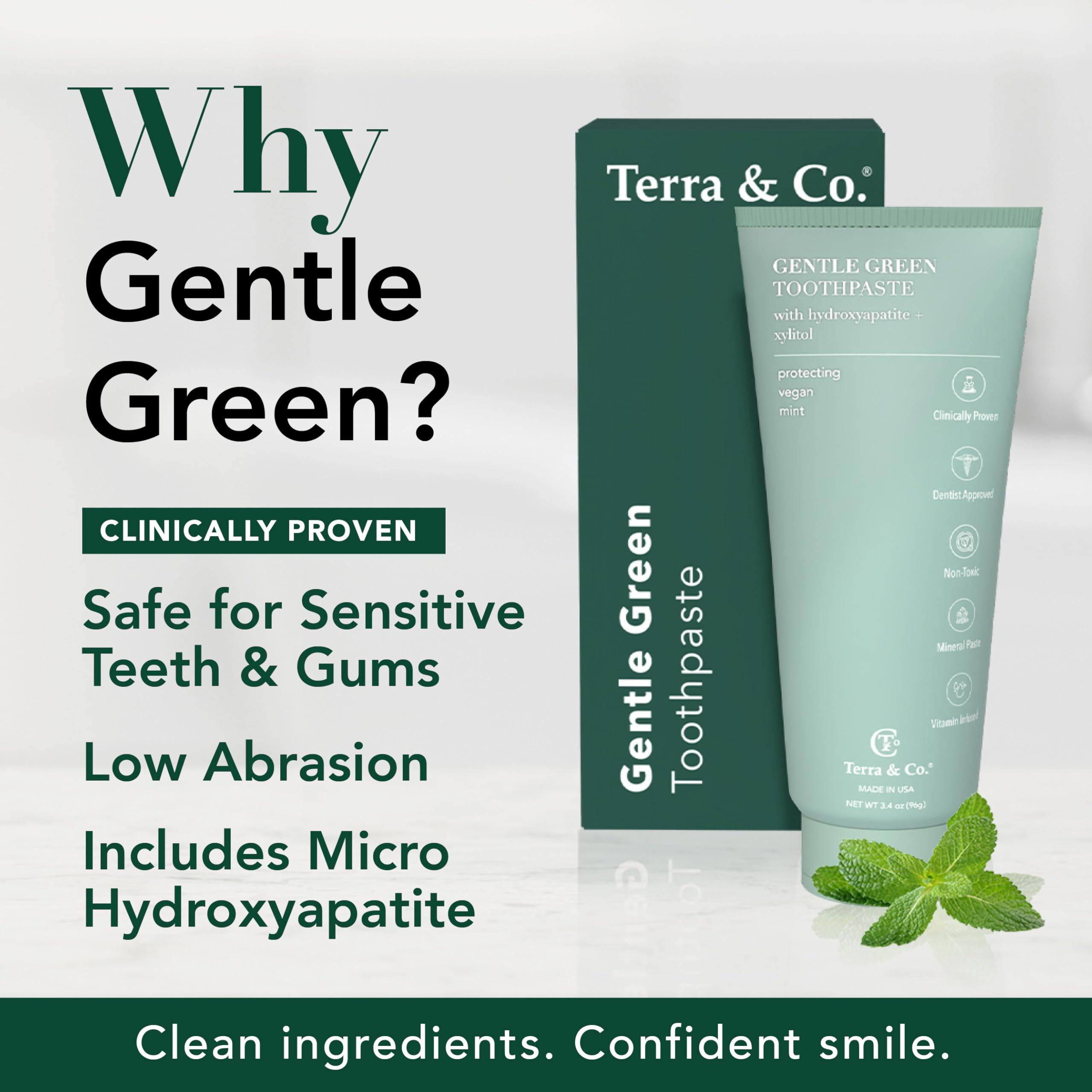 Terra & Co. Gentle Green Micro-Hydroxyapatite Toothpaste for Sensitive Teeth – USA-Made, Fluoride-Free, Vitamin B12, Mint, 3.4 oz