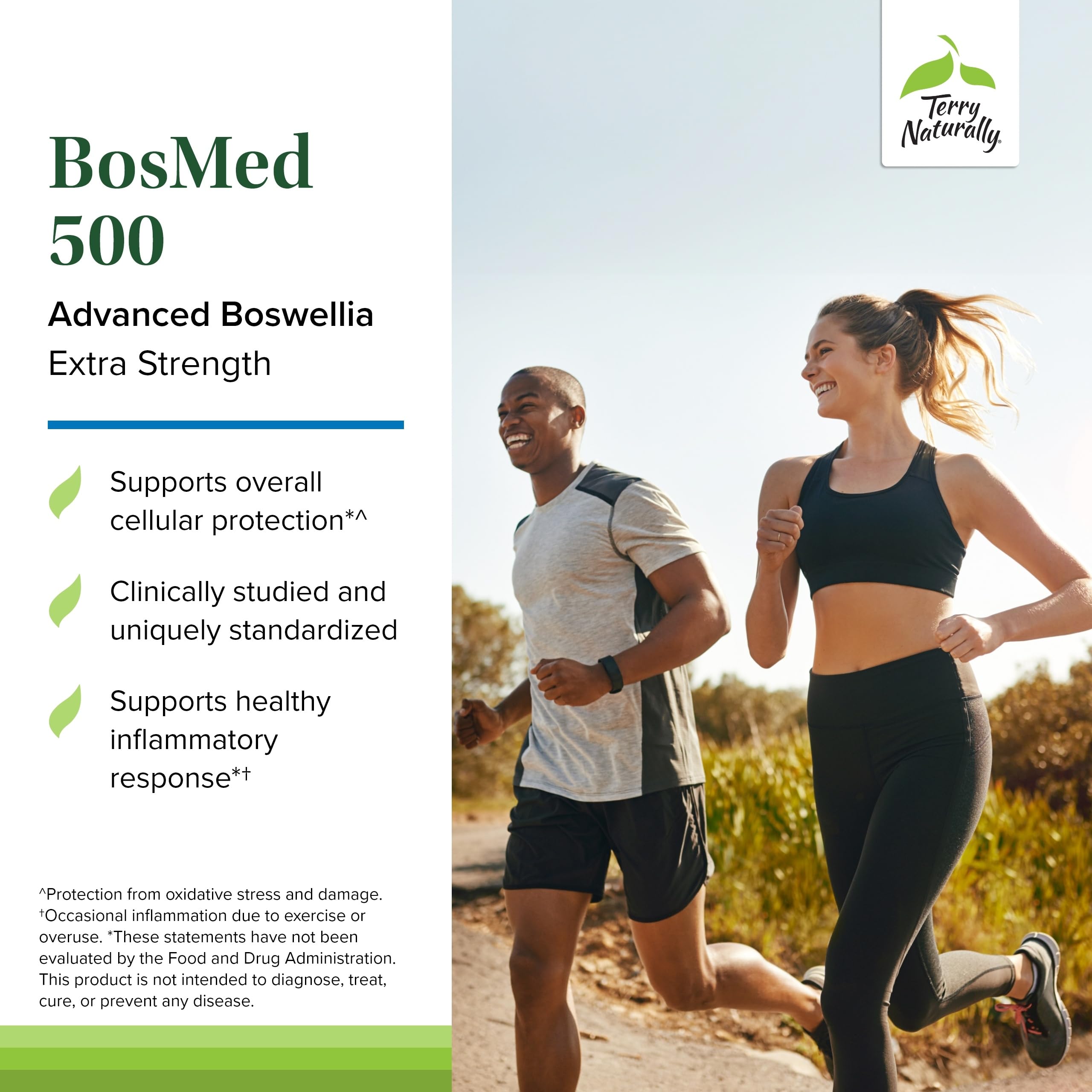 Terry Naturally BosMed 500 – Boswellia Serrata Extract Supplement for Everyday Wellness | 60 Softgels