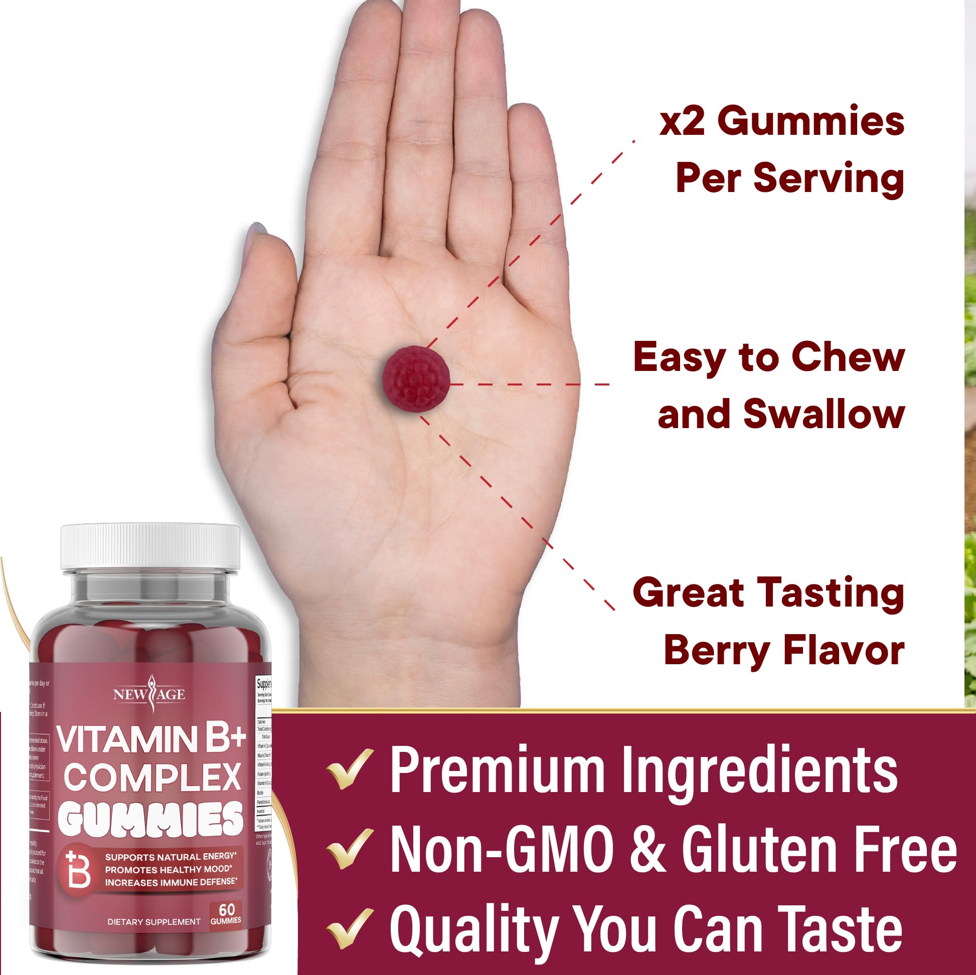 NEW AGE Vitamin B Complex Gummies – B3, B6, B12, Biotin, Folic Acid & Vitamin C | Gluten-Free, Vegan | Made in USA (120 Count Pack of 2)