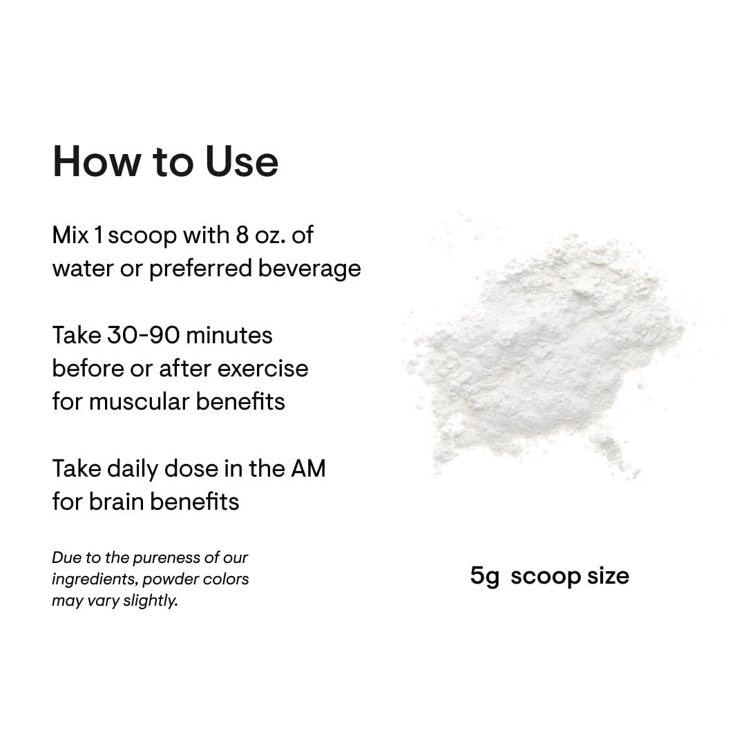 THORNE Creatine - Micronized Creatine Monohydrate Powder for Muscle & Focus | NSF Certified for Sport | Unflavored | 5 g per Serving | 90 Servings