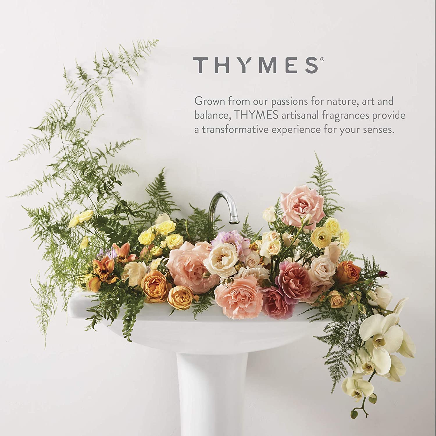 Thymes Frasier Fir Scented Candles – 4-Wick 21 oz | Luxury Home Fragrance Gift