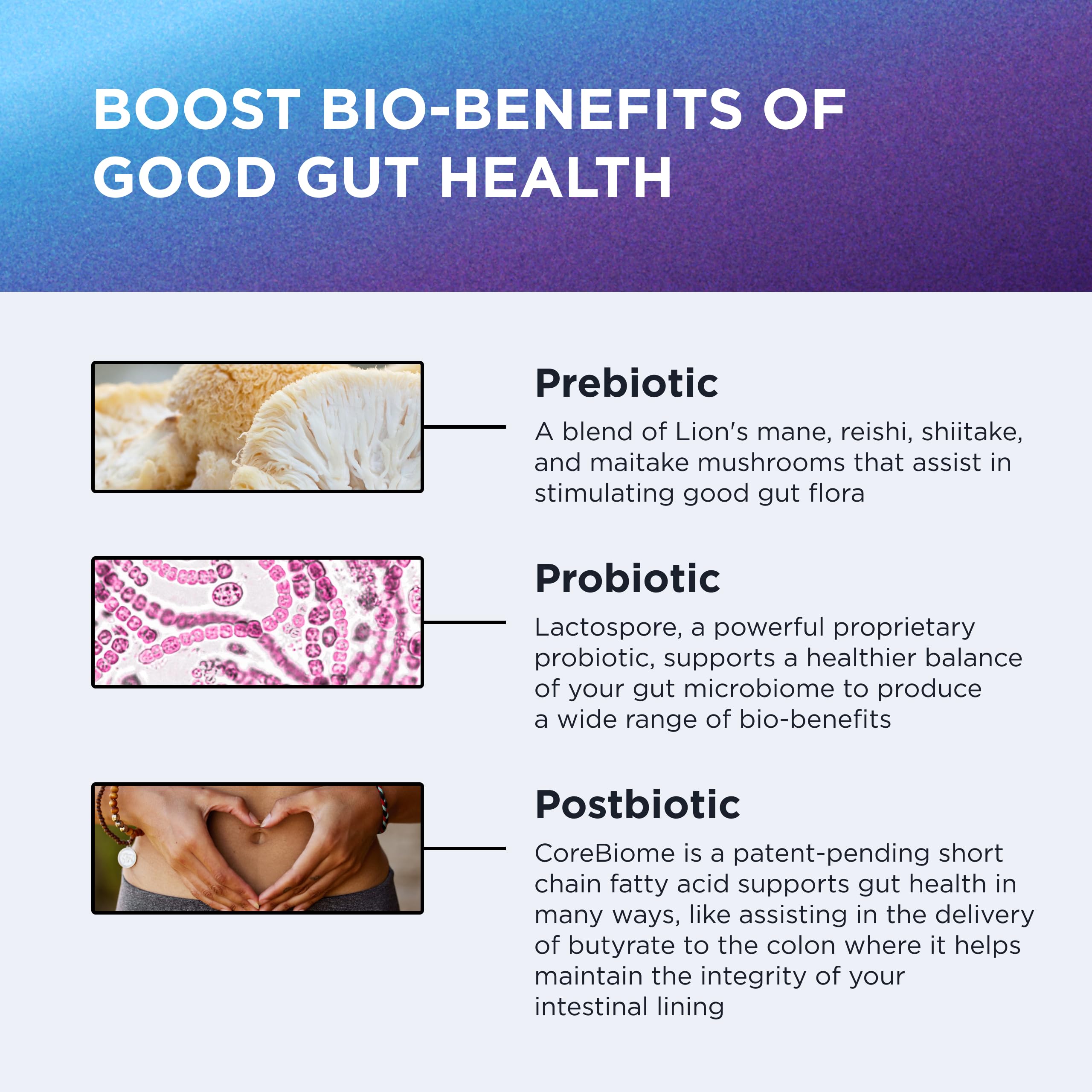 DR. EMIL NUTRITION Total Gut Health Complex – Prebiotic, Probiotic & Postbiotic Digestive Health Supplement | 120 Capsules