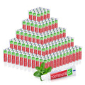 Travel Size Toothpaste Bulk – 500 Mint Pocket Tubes (0.176 oz / 5 g) Disposable for Travel, Hotels & Camping