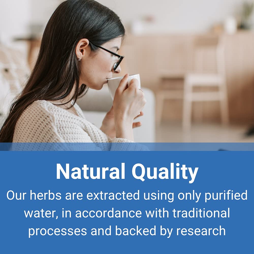Treasure of the East: Bu Zhong Yi Qi Tang (Middle Qi Tonifying Decoction) 5:1 Extract Granules 100g