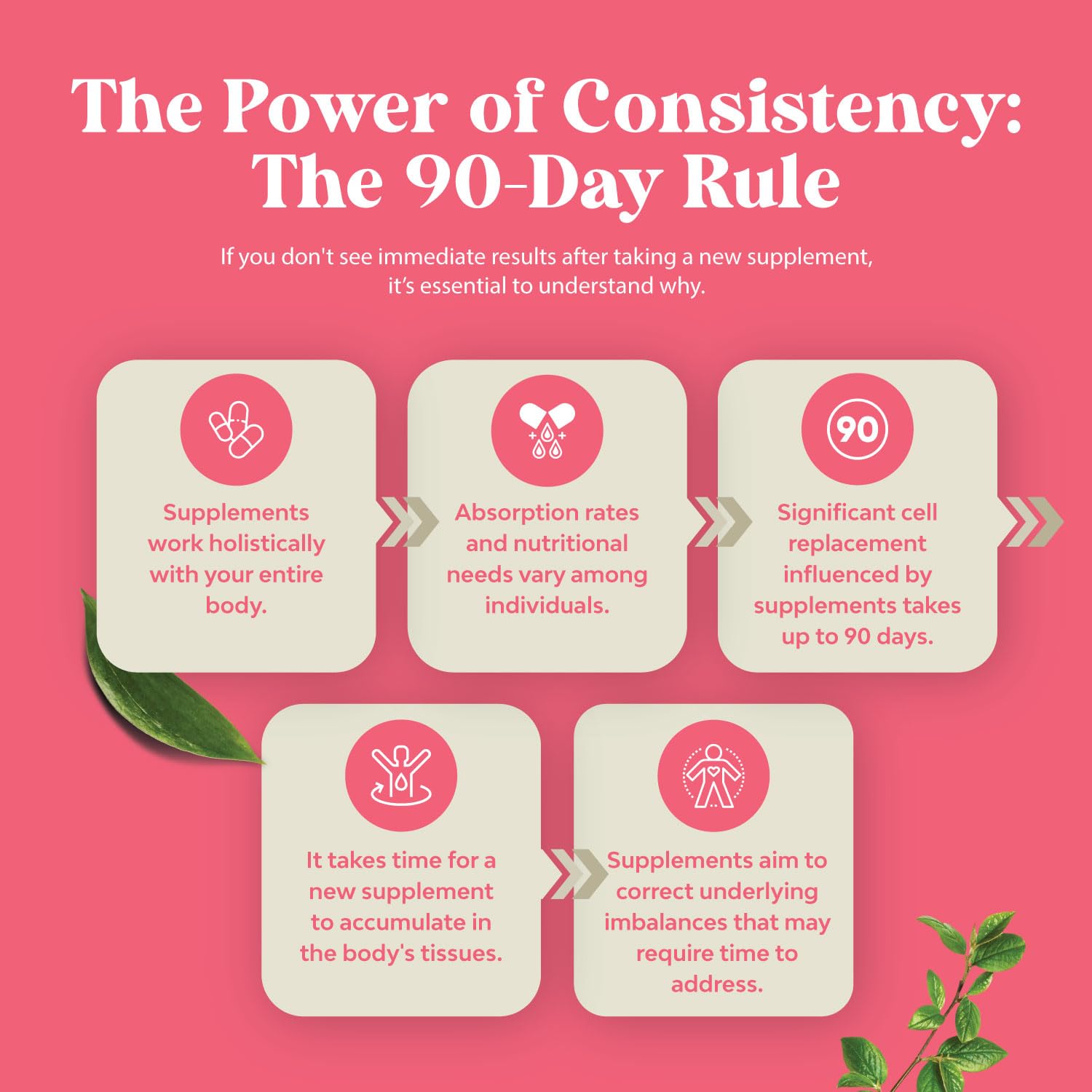Complete Herbal Menopause Supplement for Women - Multibenefit Menopause Ease Hormone Balance for Women for Night Sweats Mood and More with Dong Quai Vitex Chaste Berry and Black Cohosh - Trial Pack