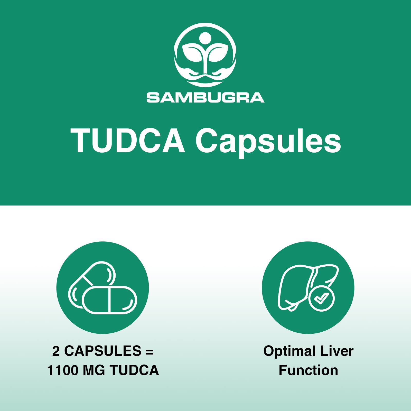 TUDCA 1100mg – Ultra Strength Liver Support (360 Capsules, Pack of 6)