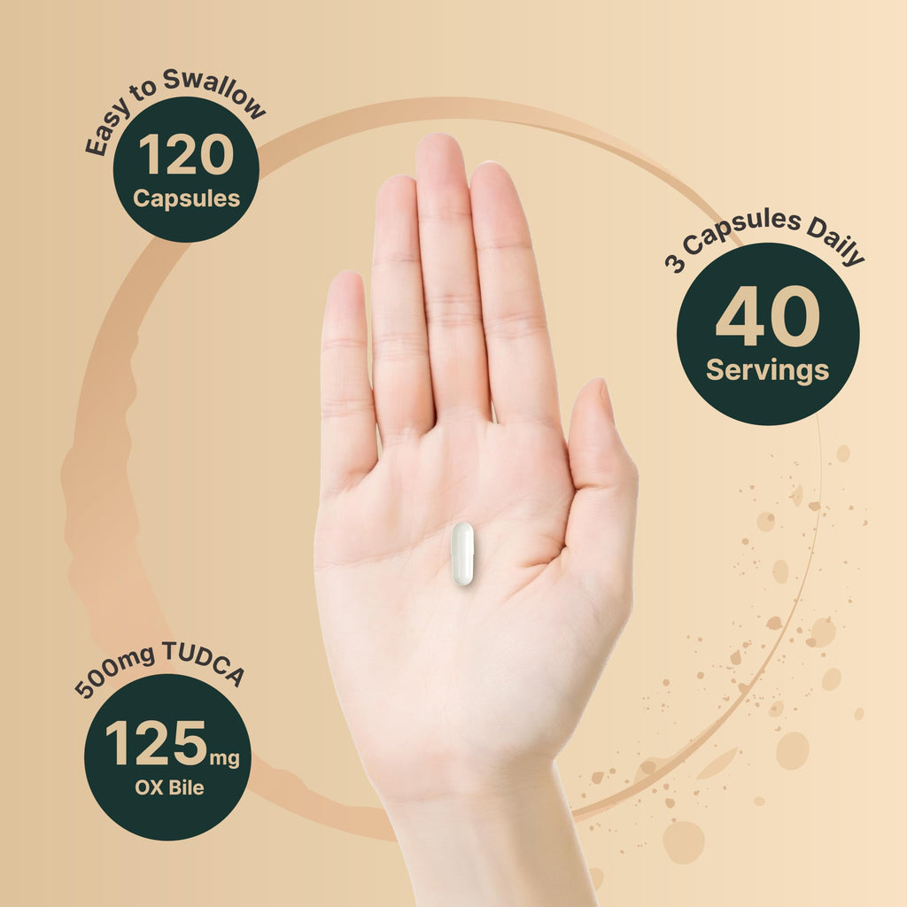 TUDCA 500mg with OX Bile 125mg – 120 Capsules | Liver Support
