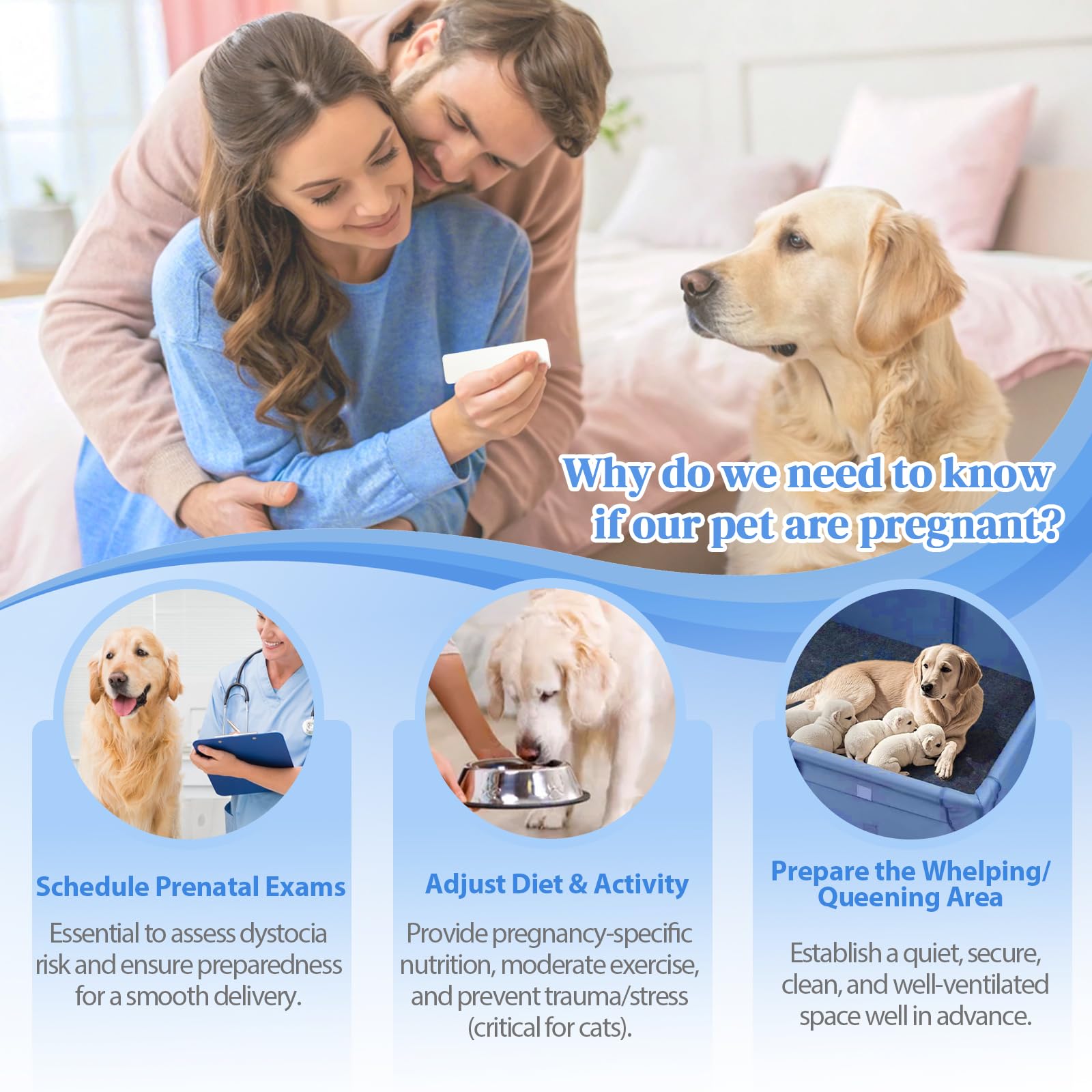 at-Home Dog & Cat Pregnancy Test Kit - 99% Accurate Urine Test for Rapid 5-Minute Results. Easy, Painless, and Reliable Home Testing Solution for Pet Owners