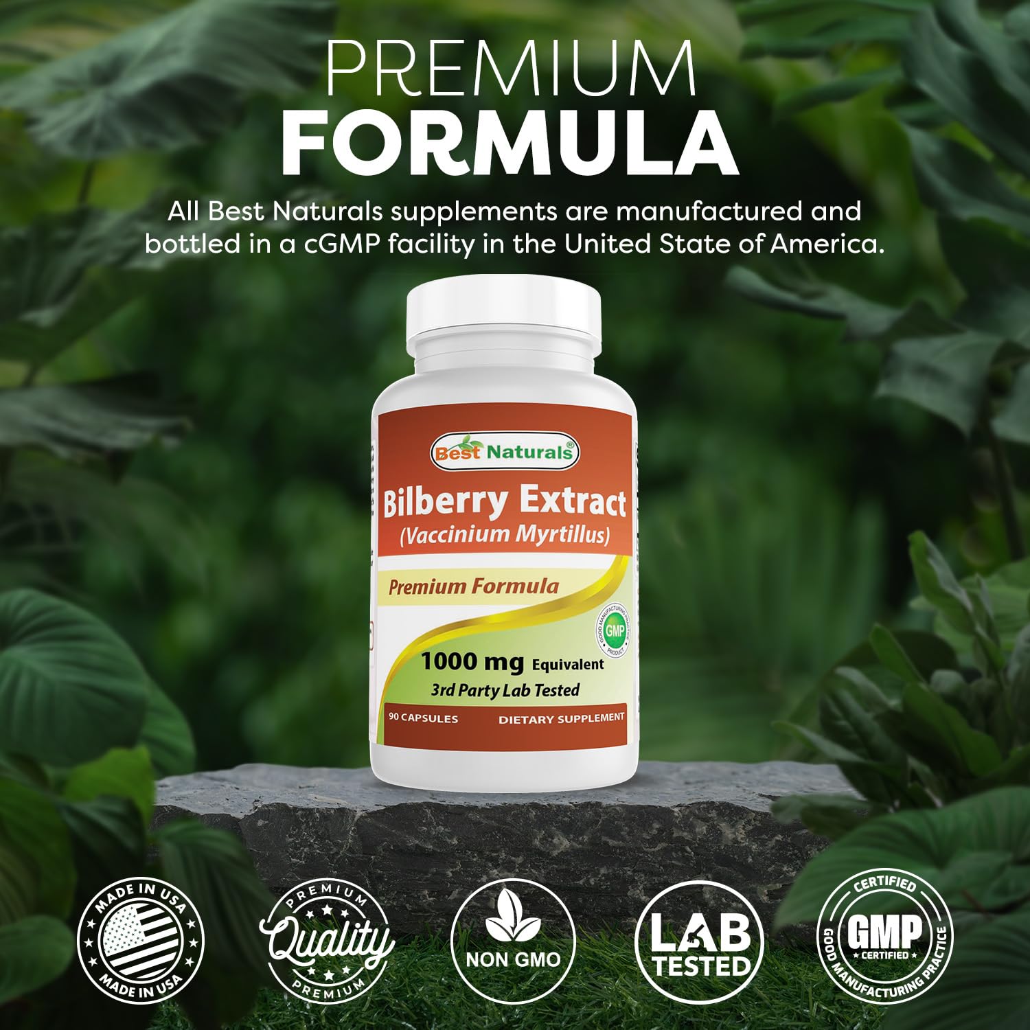 Best Naturals Bilberry Extract 1000mg Capsule (Non-GMO) Supports Healthy Vision, 90 Count