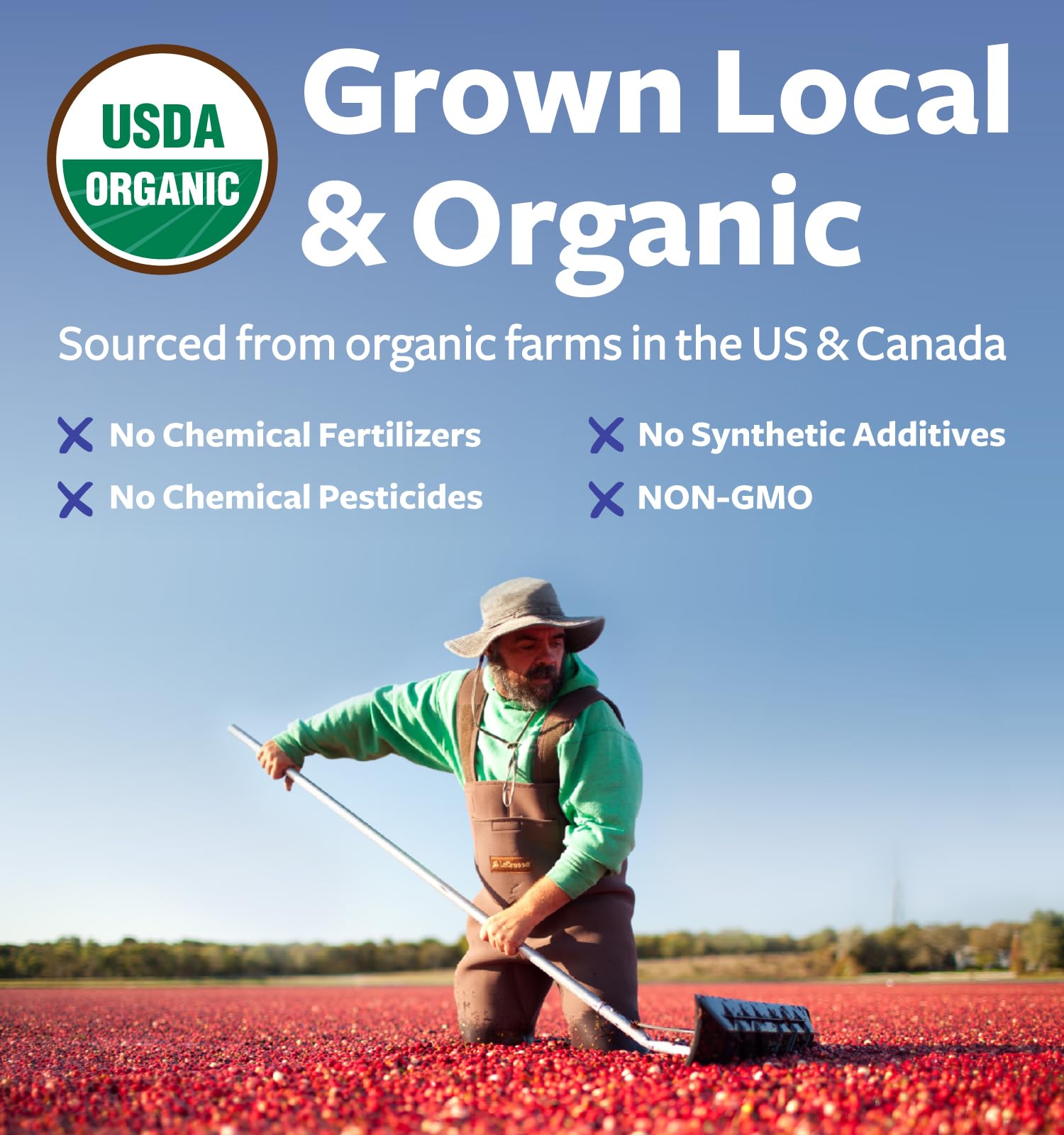USDA Organic Cranberry Concentrate Powder (50:1) 500mg - 25,000mg Fresh Cranberries Equivalent | Kidney & Urinary Health | Women Supplement | 100 Servings