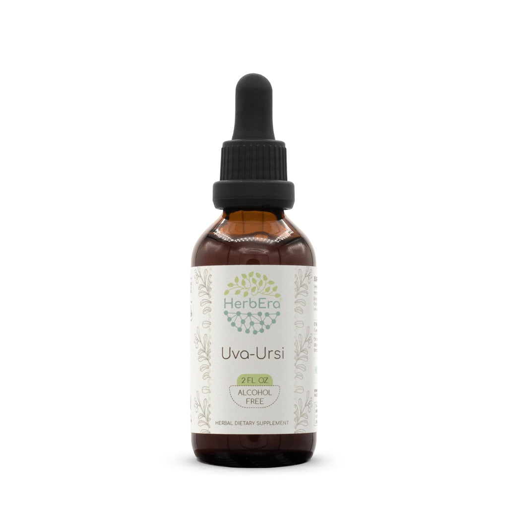 Uva-Ursi B60 Alcohol-Free Herbal Extract Tincture - 2 fl oz | Uva-Ursi (Arctostaphylos uva-Ursi) Dried Leaf
