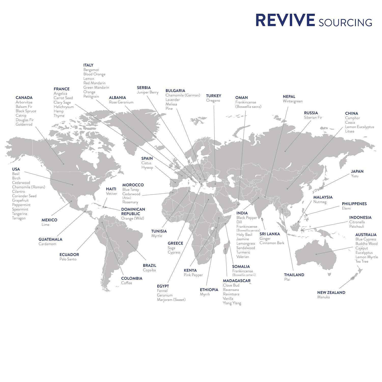 Vanilla by Revive Essential Oils | 100% Pure Therapeutic Grade