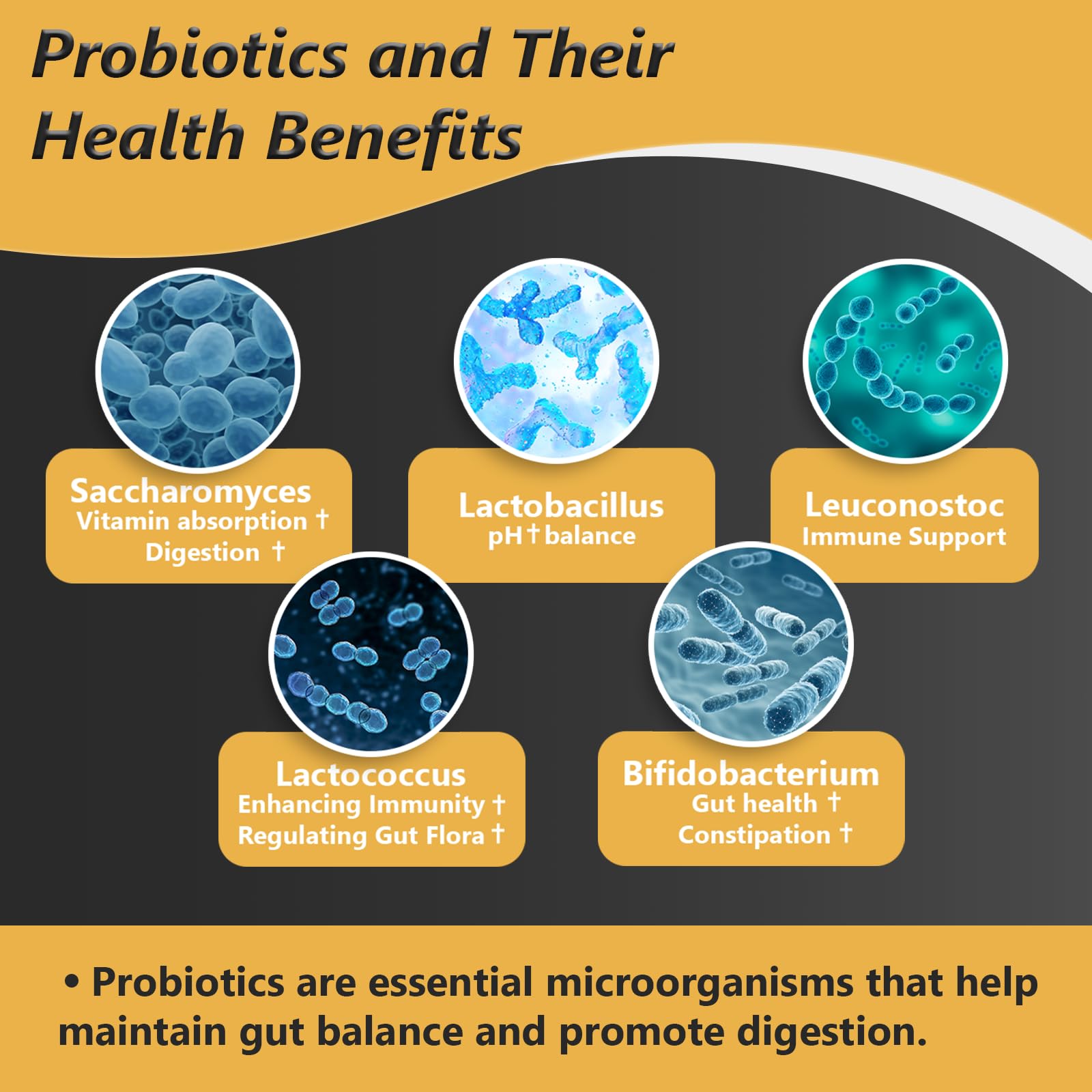Probiotics with Prebiotics – 100B CFU, 35 Strains, Organic & Vegan (60 capsules)