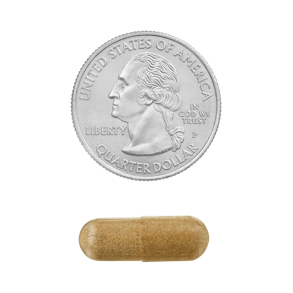 Echinacea Goldenseal Blend – 900 mg, 75 Vegetarian Capsules | Daily Wellness Supplement