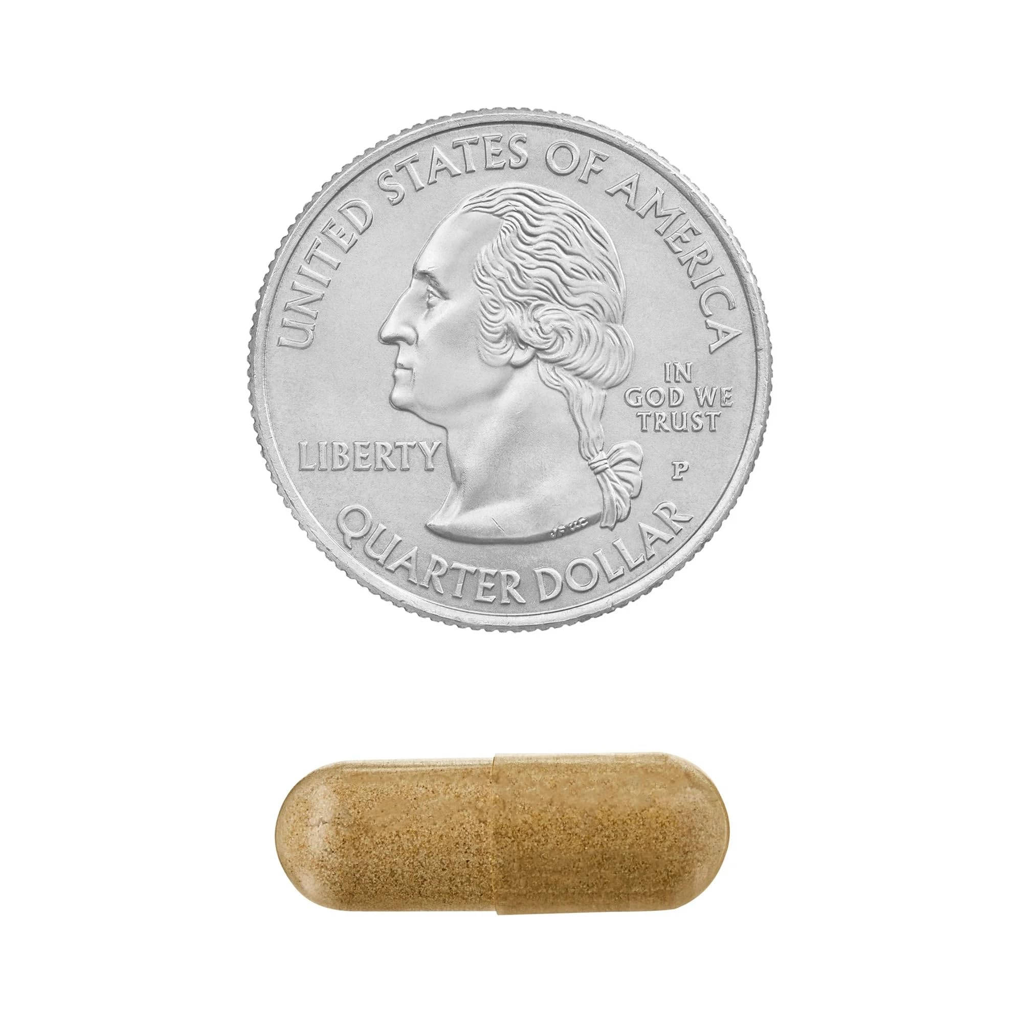Echinacea Goldenseal Blend – 900 mg, 75 Vegetarian Capsules | Daily Wellness Supplement