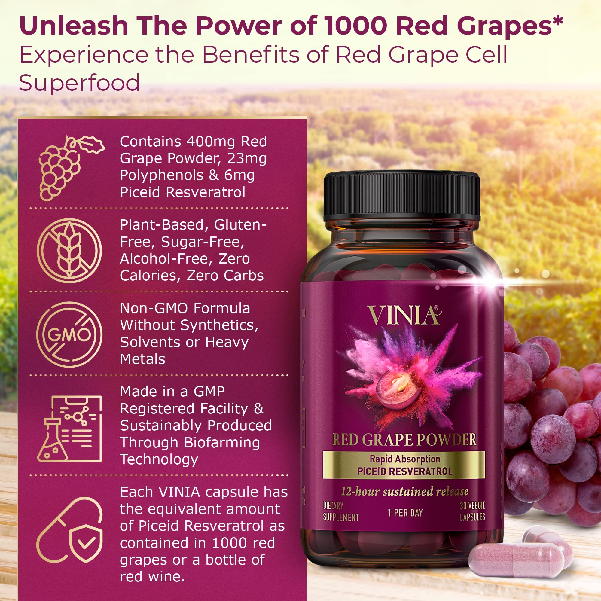 VINIA Piceid Resveratrol Supplement – Blood Flow & Heart Health (Non-GMO, 30 Count)