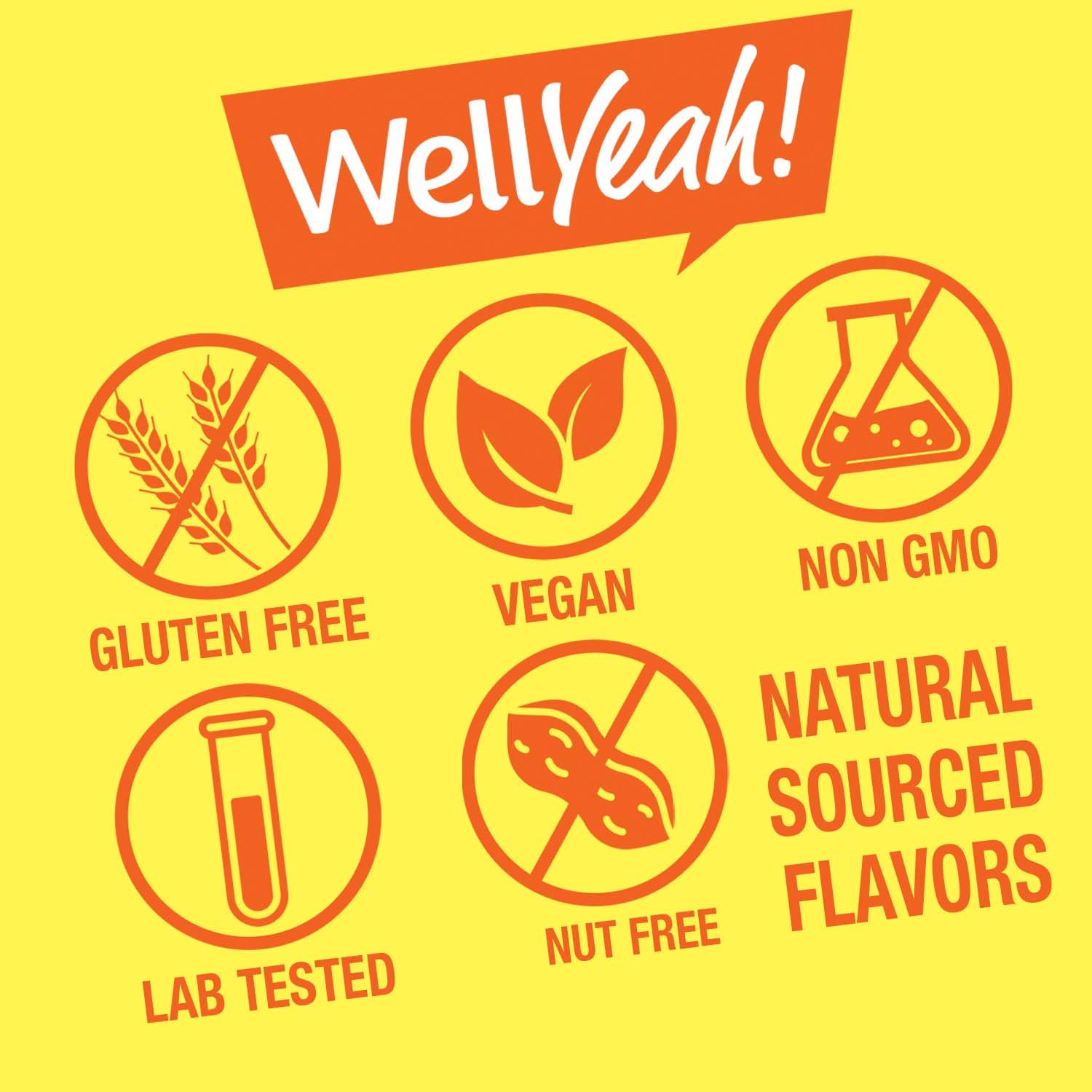 WellYeah Biotin 10,000 mcg Gummies – Stronger Hair, Skin & Nails (Berry) – Vegan, Gluten-Free, Non-GMO – 60 Gummies (Pack of 2)