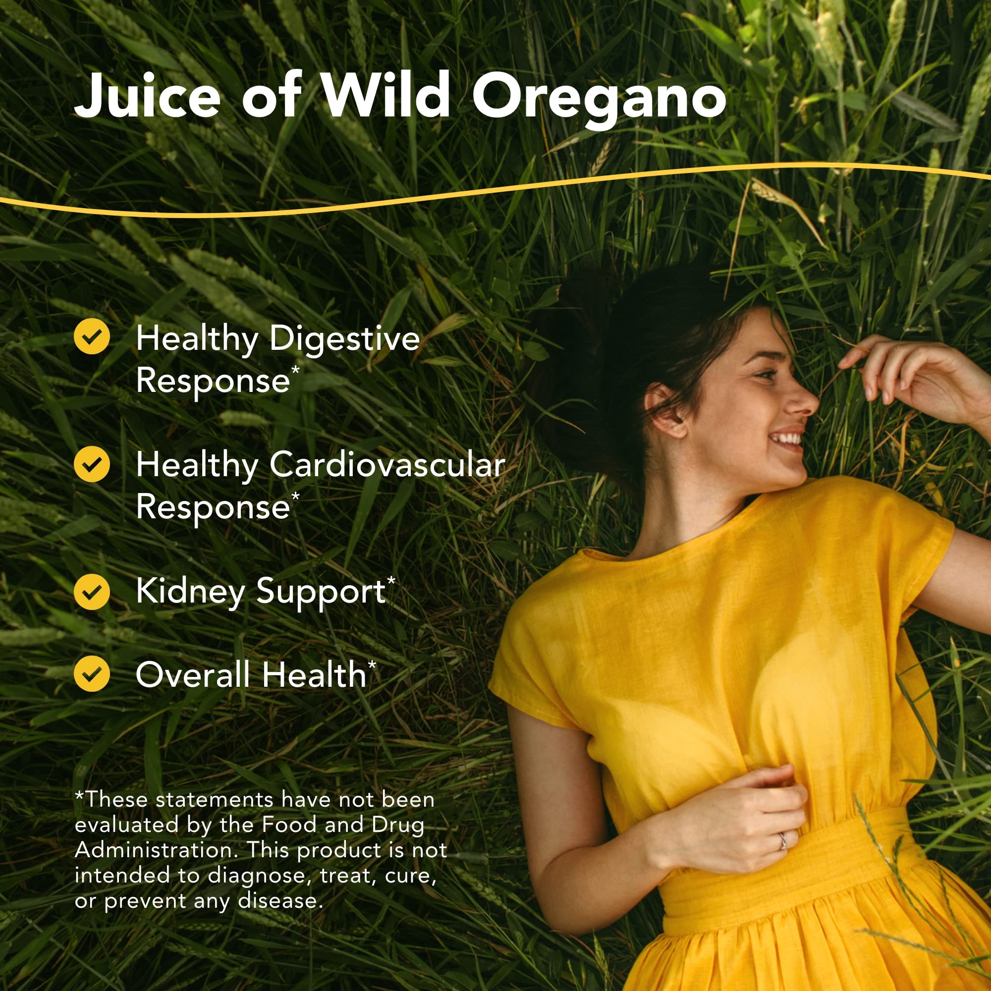 North American Herb & Spice Oreganol P73 Juice - Wild Oregano Oil, 12 fl oz Pack of 2