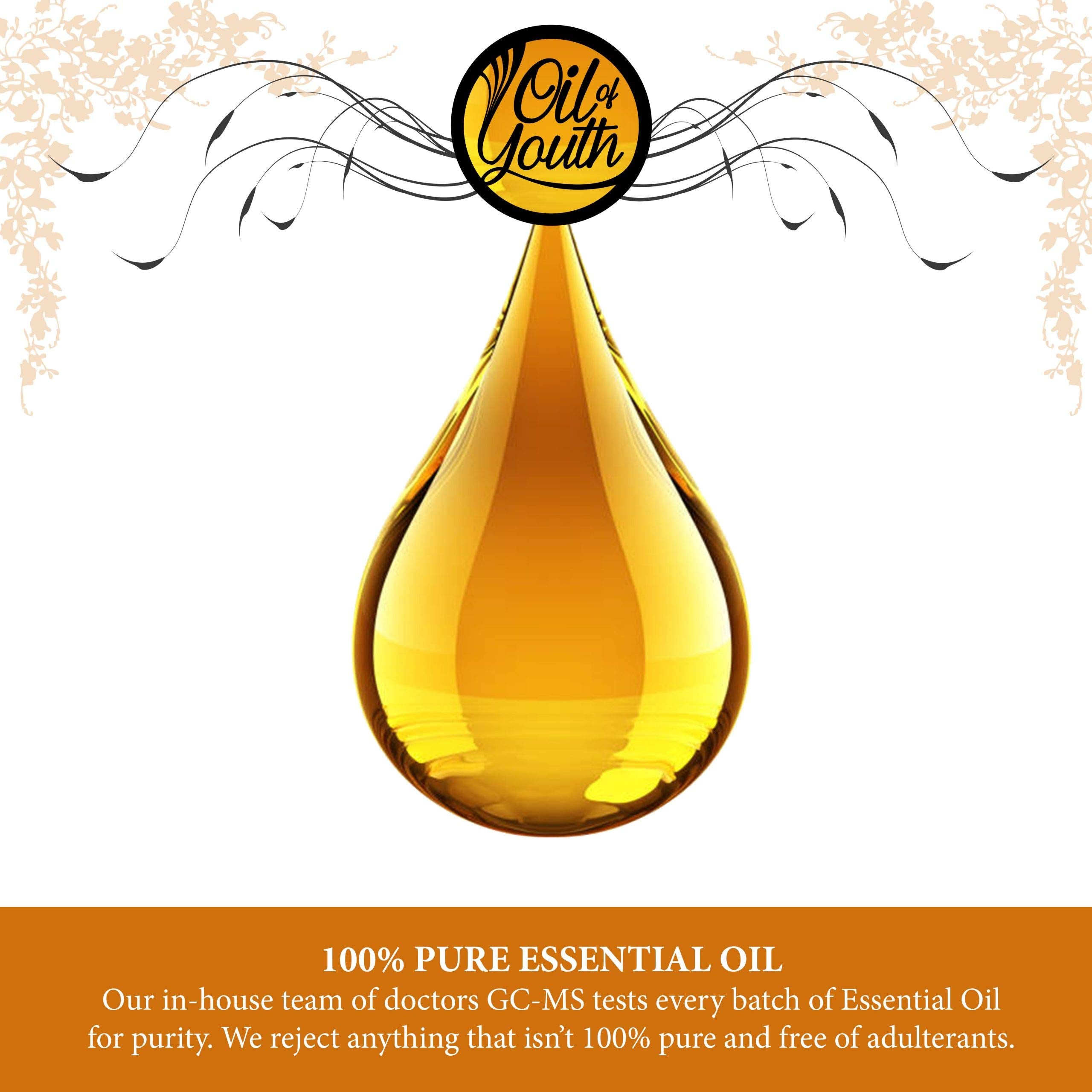 Oil of Youth Cypress Essential Oil 4 oz – Therapeutic Grade Aromatherapy
