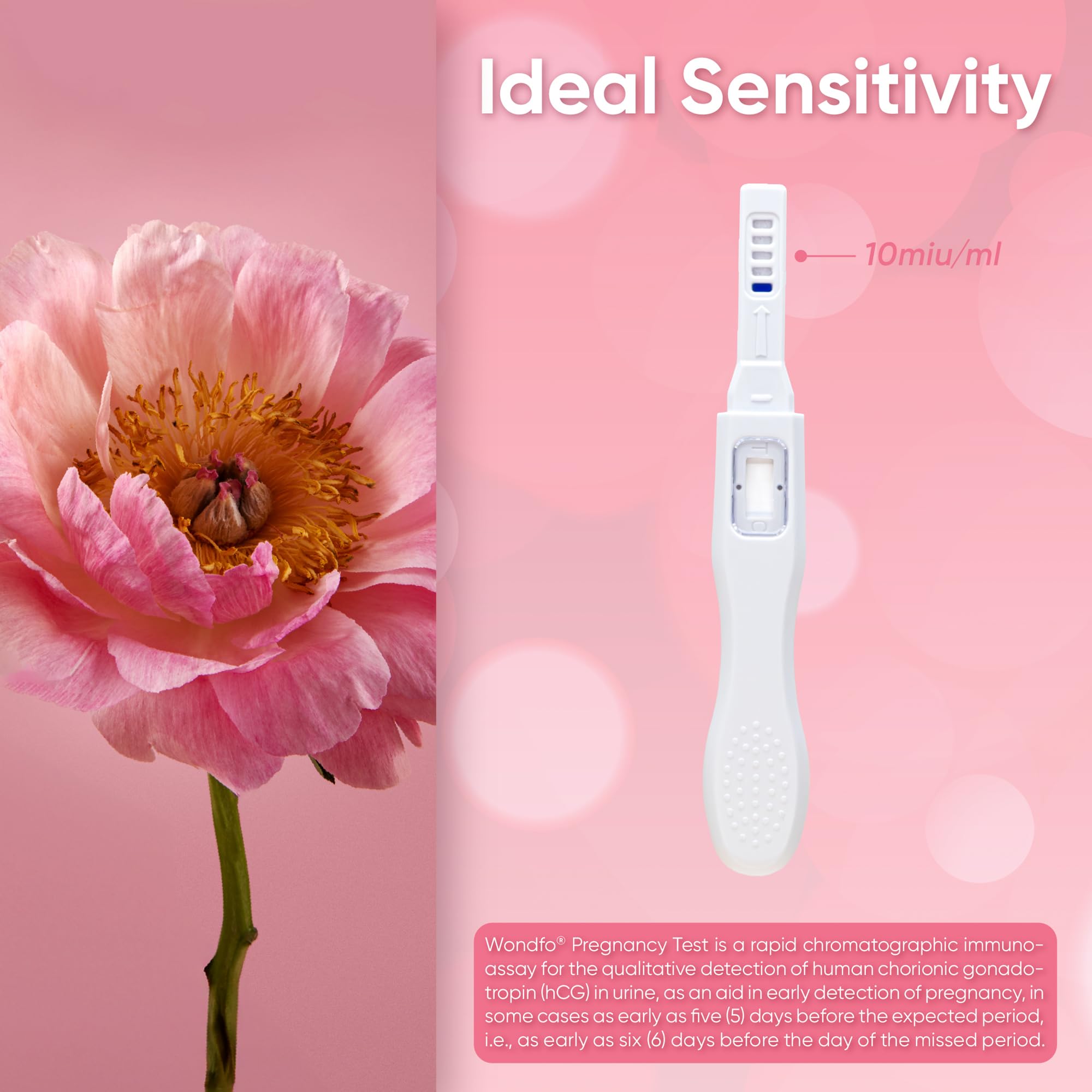 Wondfo Early Result Pregnancy Test Sticks – 6 Days Before Missed Period | 10 Pack At-Home Test