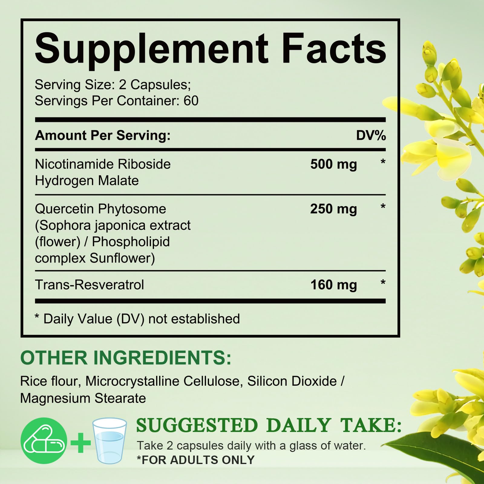 Xaarty NAD Supplement - 910mg Liposomal NAD with Resveratrol & Quercetin | 120 Capsules