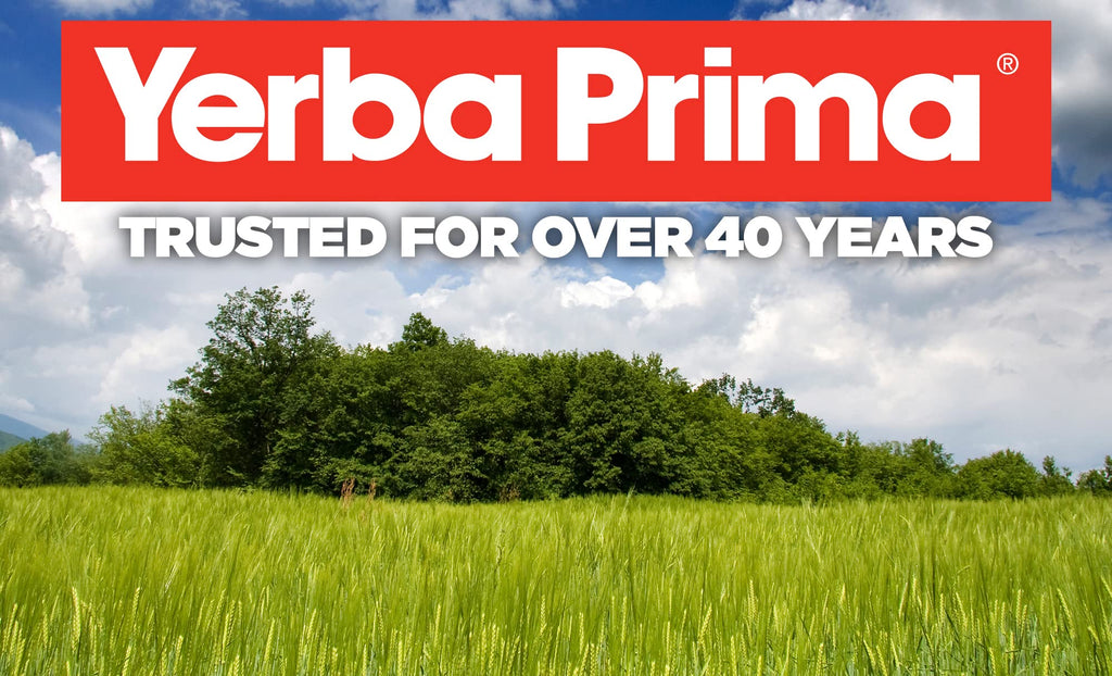 Yerba Prima Psyllium Husks Caps 180 Caps (Pack of 2) – Natural Fiber Supplement